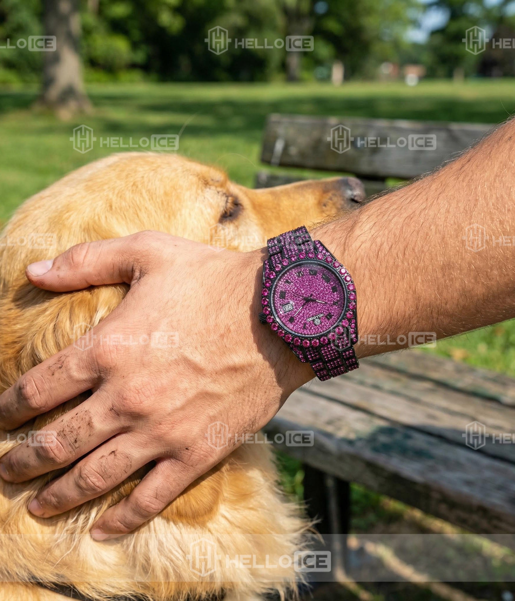 Helloice Review Image