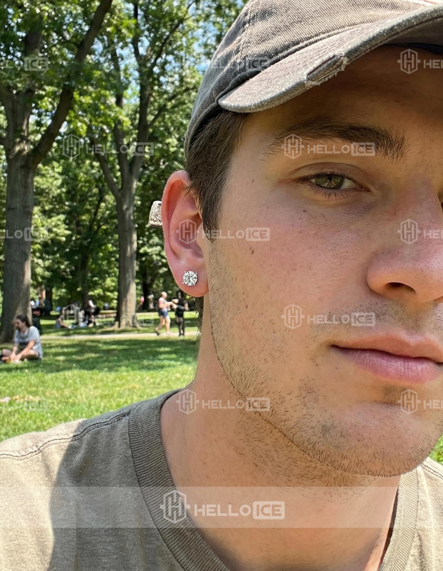 Helloice Review Image