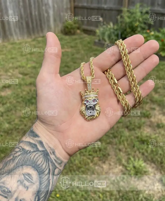 Helloice Review Image