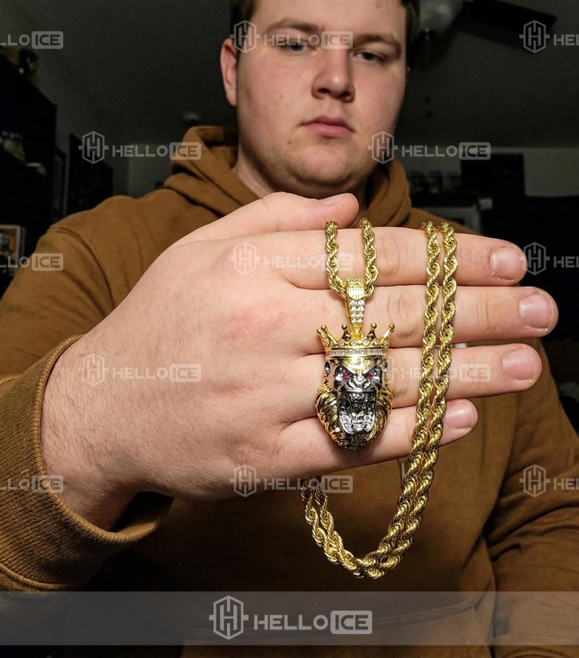 Helloice Review Image