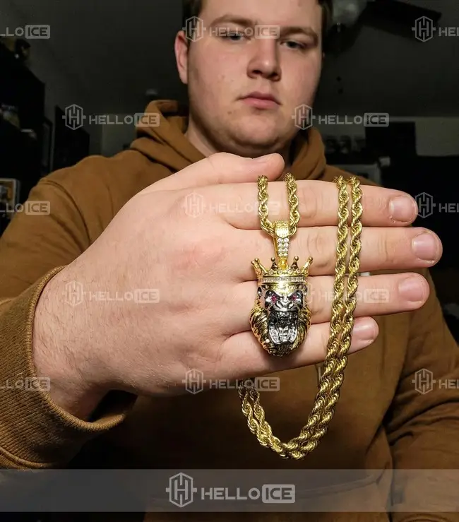 Helloice Review Image