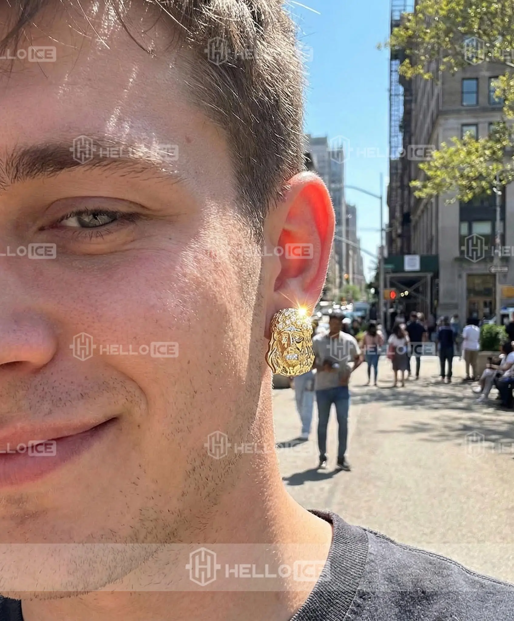 Helloice Review Image