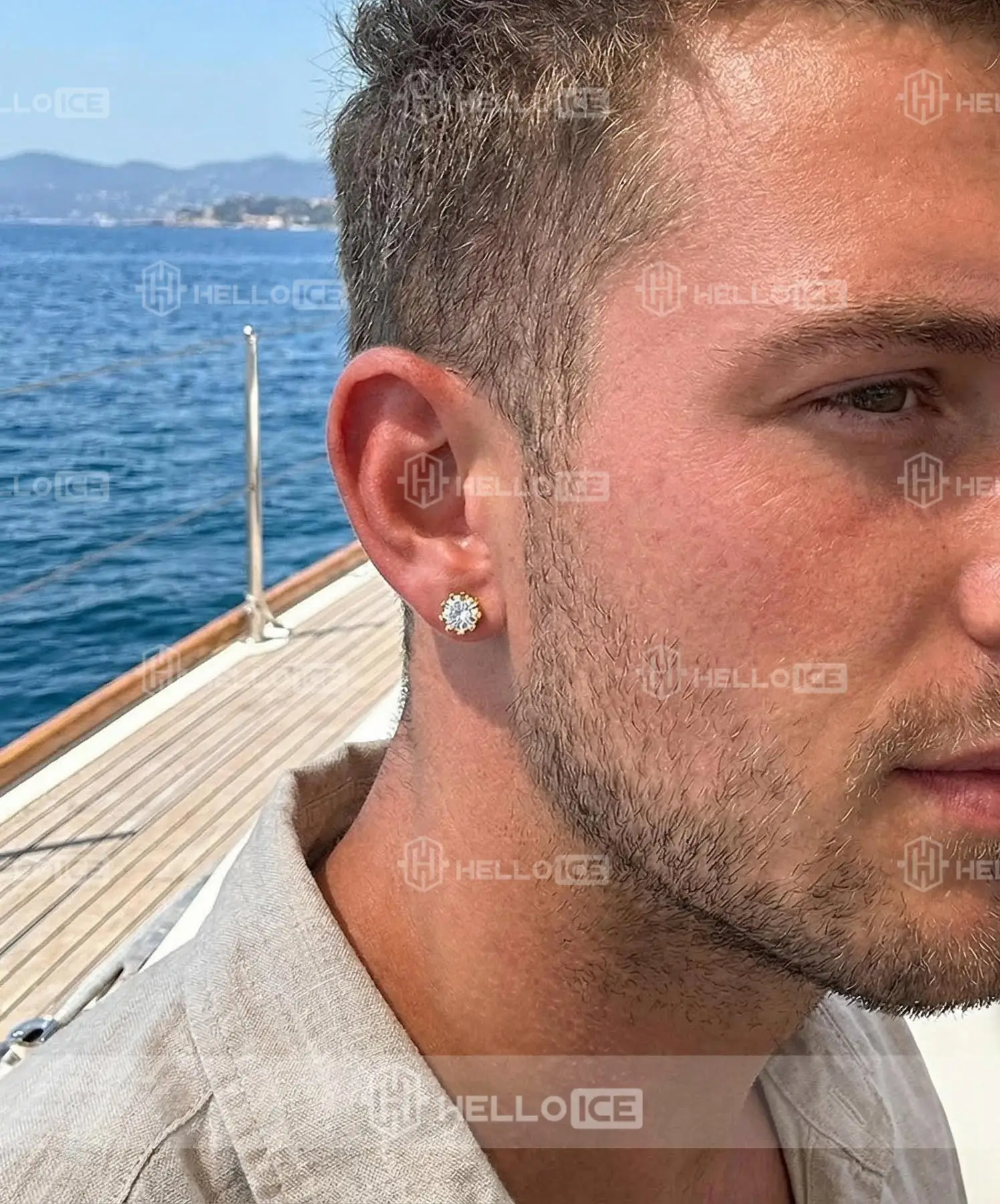 Helloice Review Image