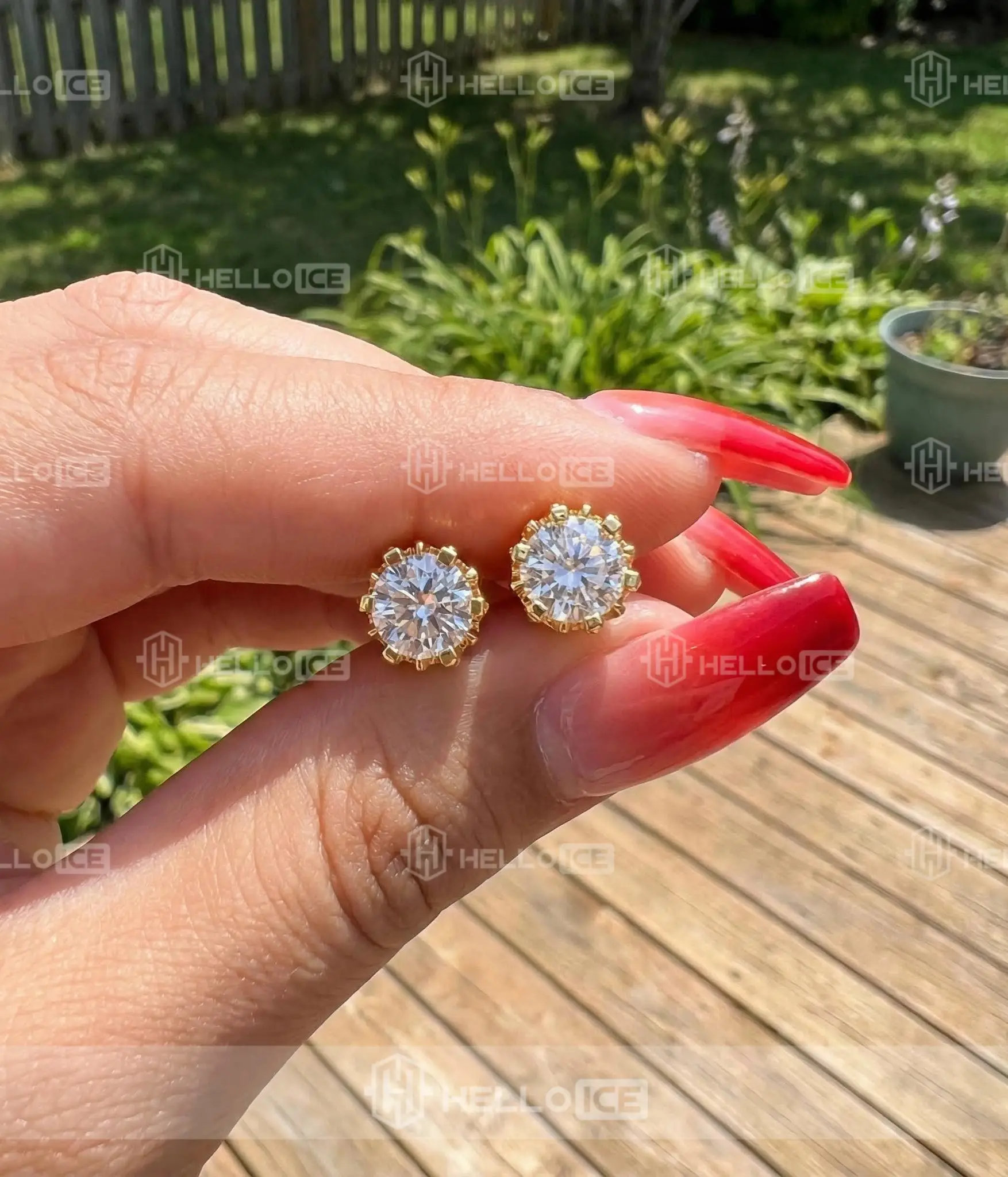 Helloice Review Image