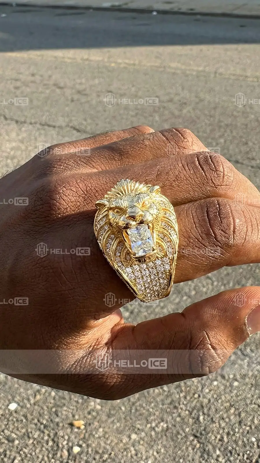 Helloice Review Image