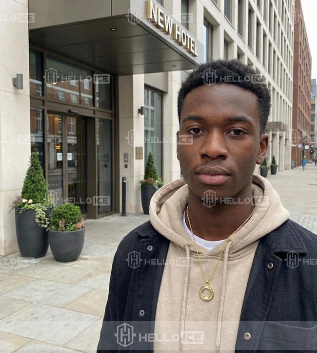 Helloice Review Image