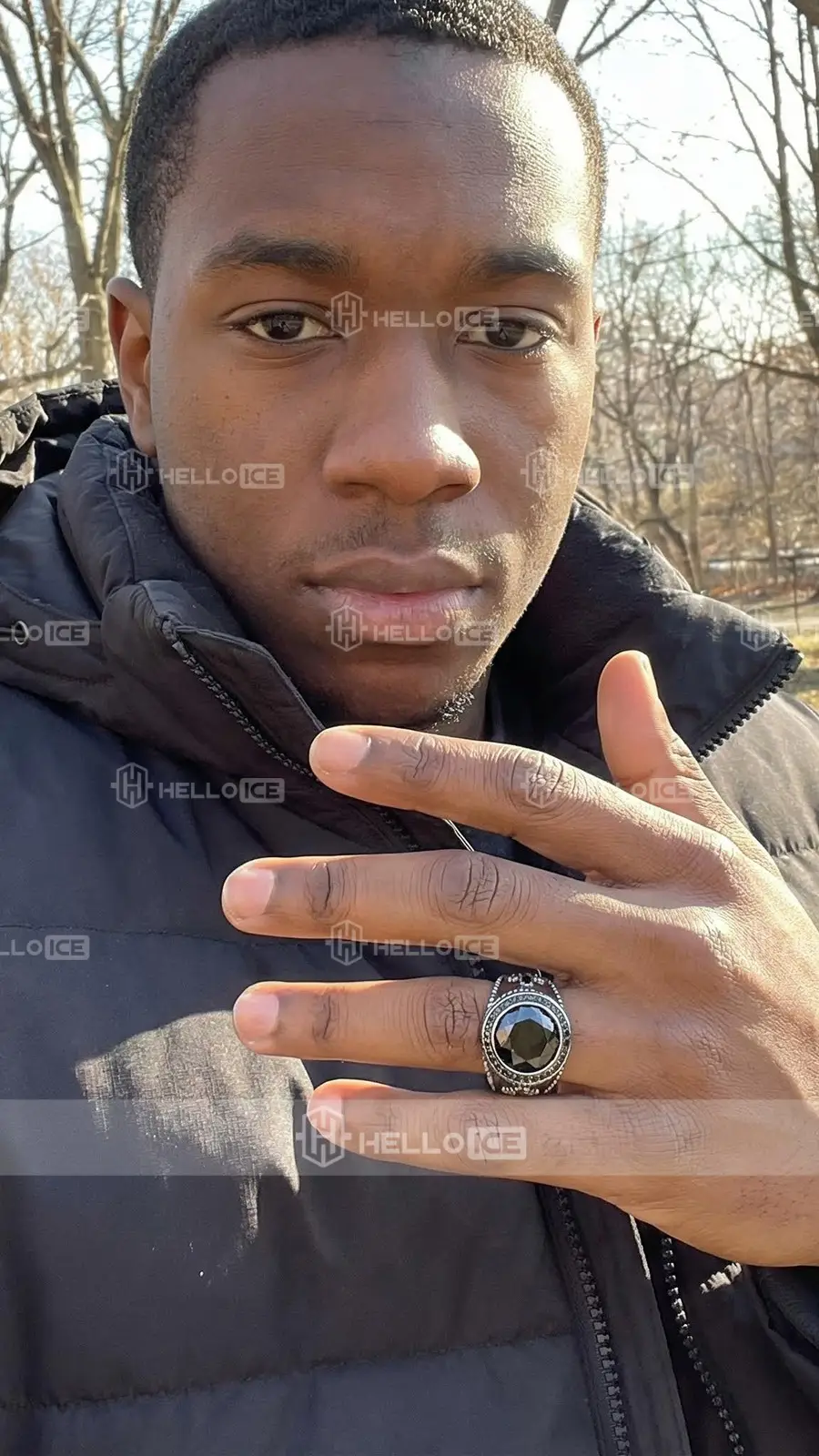 Helloice Review Image