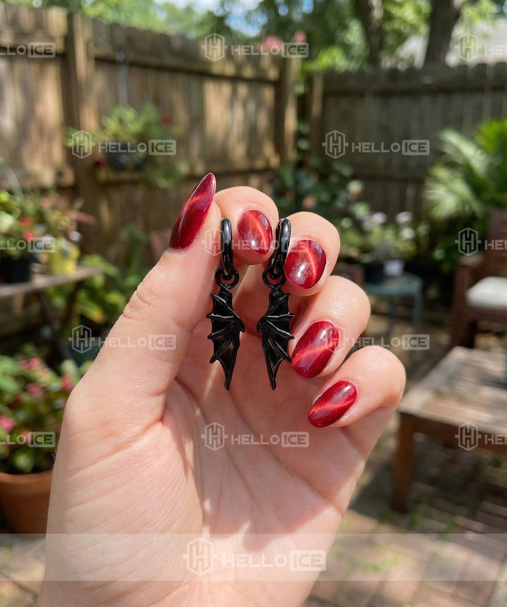 Helloice Review Image