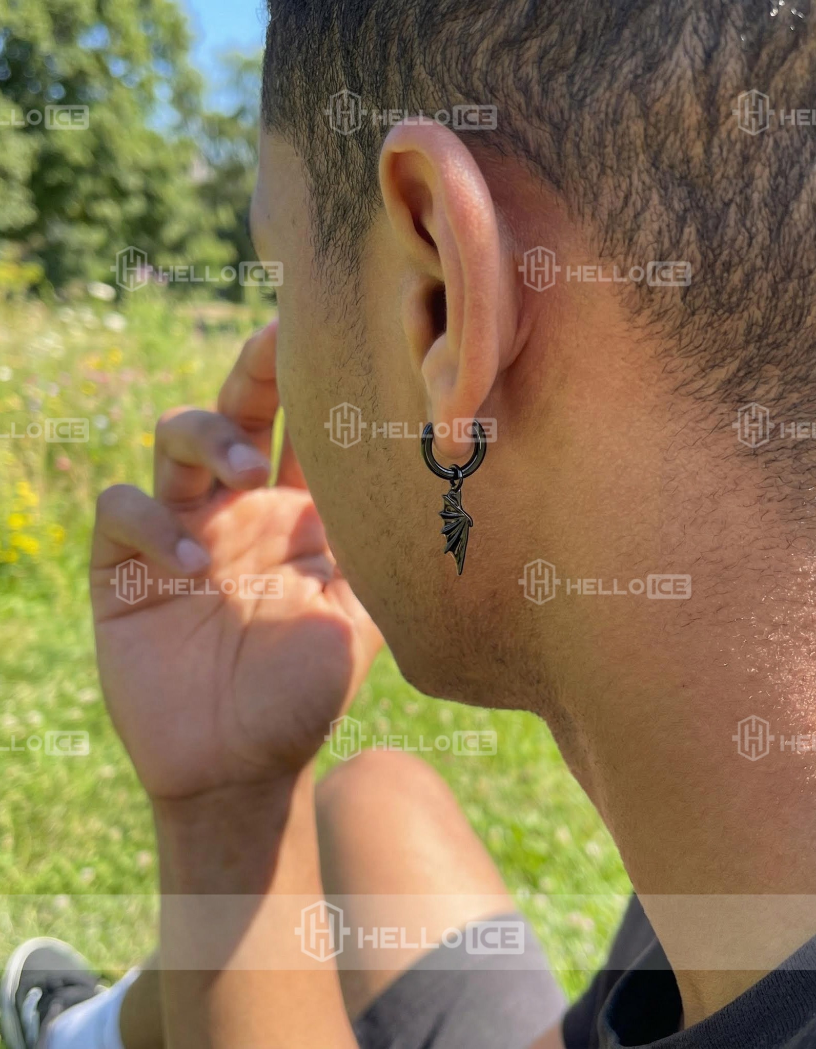 Helloice Review Image