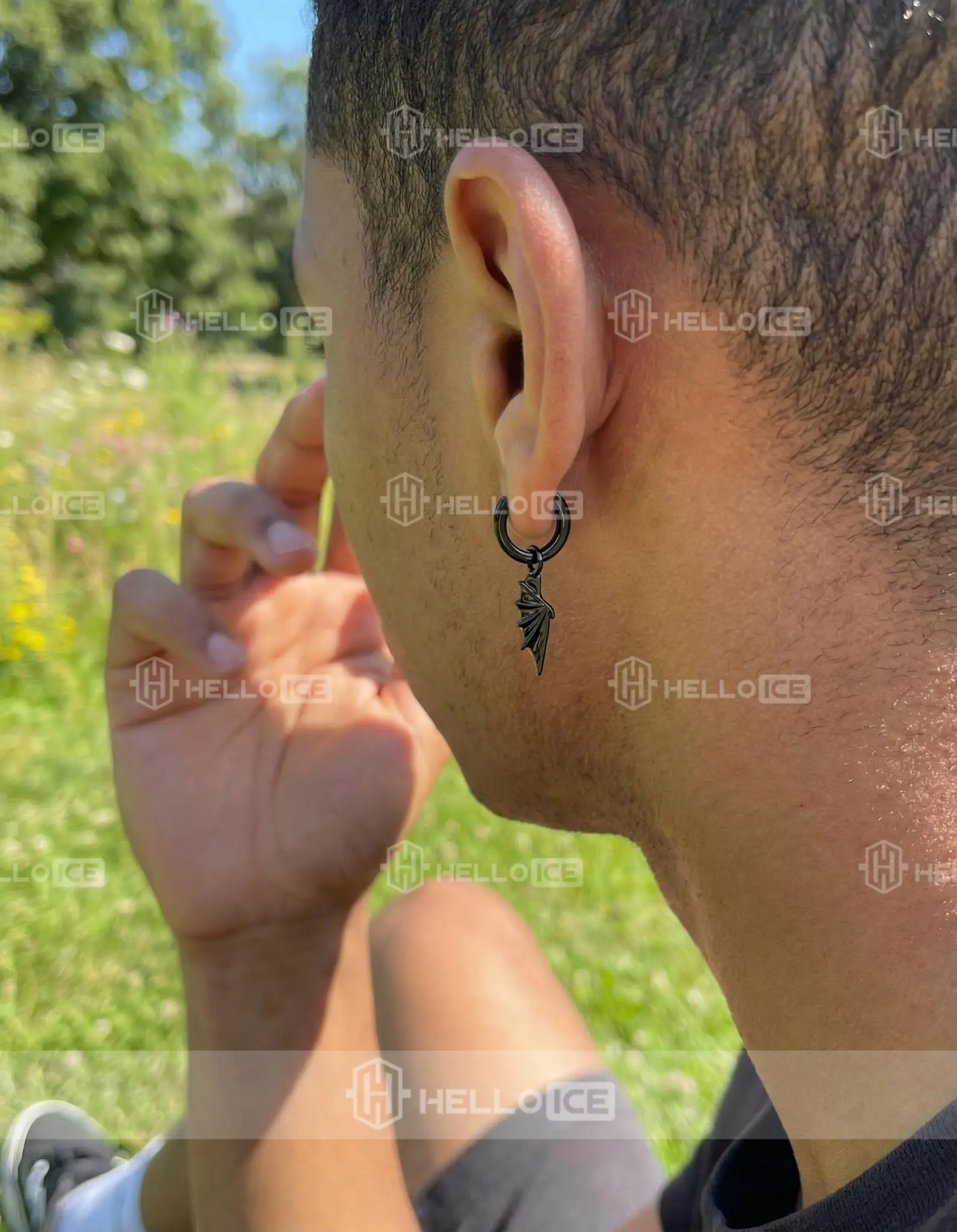 Helloice Review Image