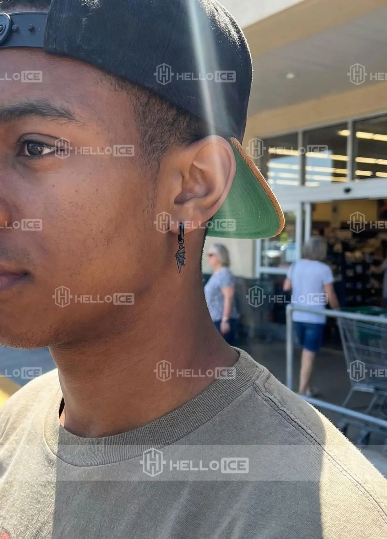 Helloice Review Image