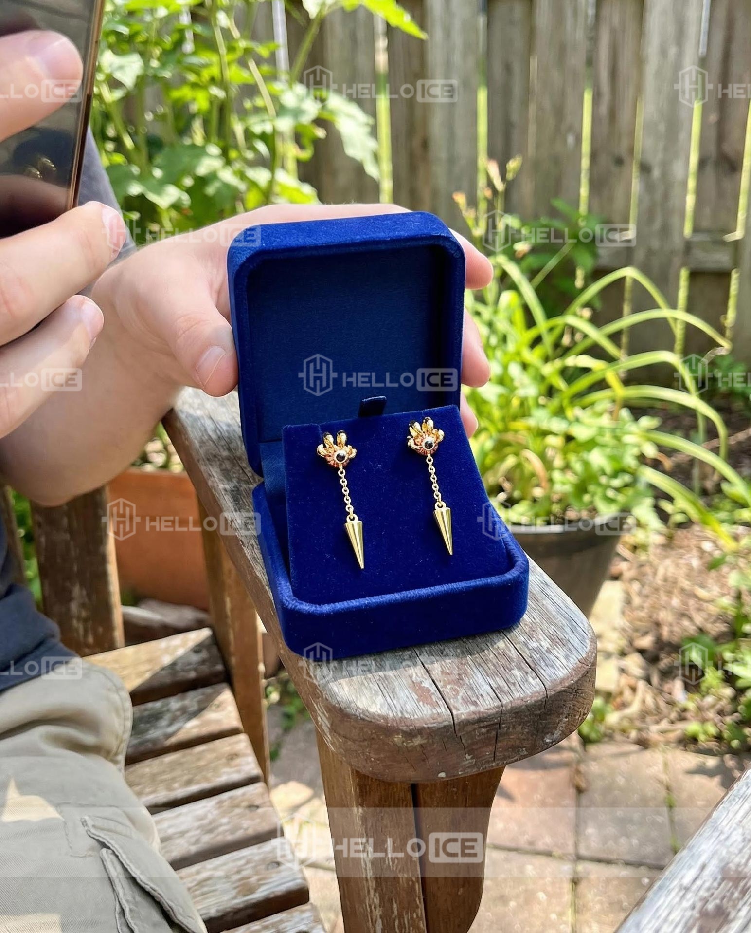 Helloice Review Image