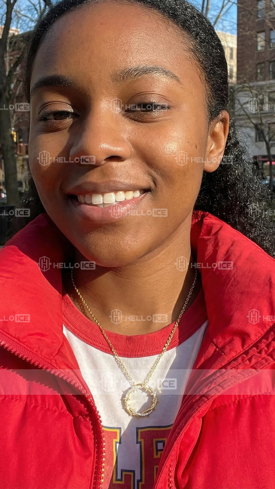 Helloice Review Image