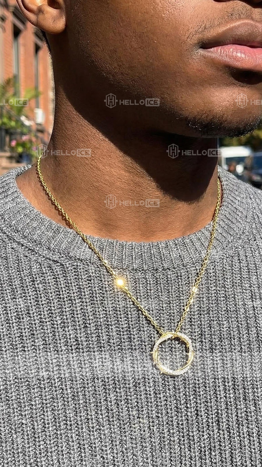 Helloice Review Image