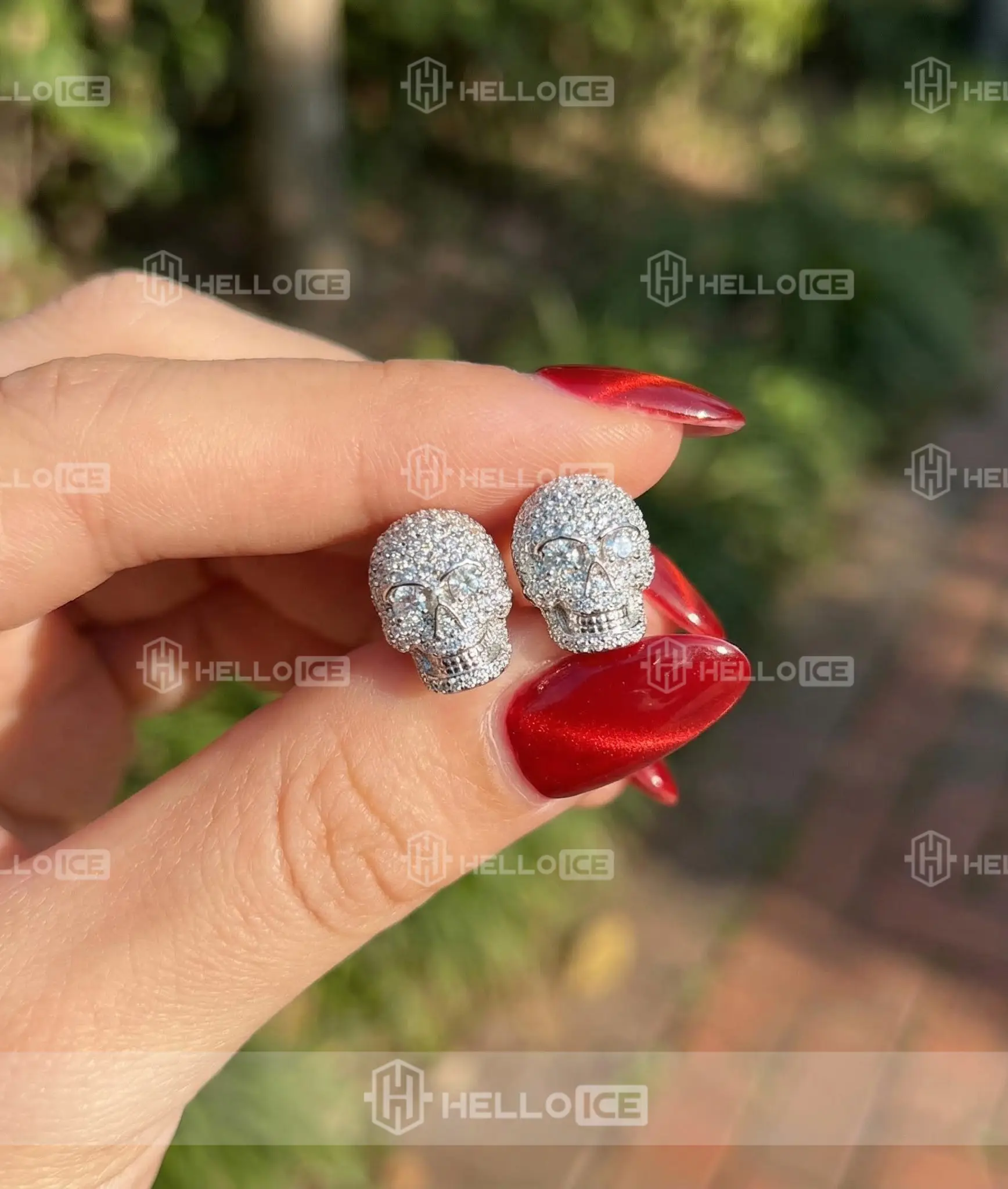 Helloice Review Image