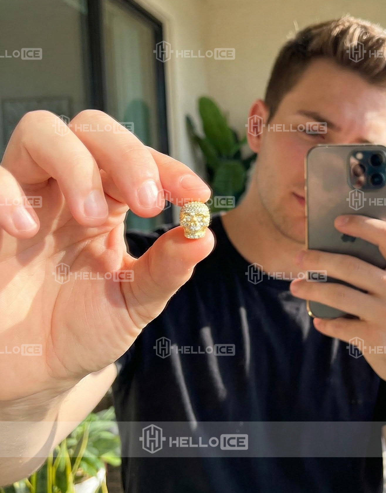 Helloice Review Image