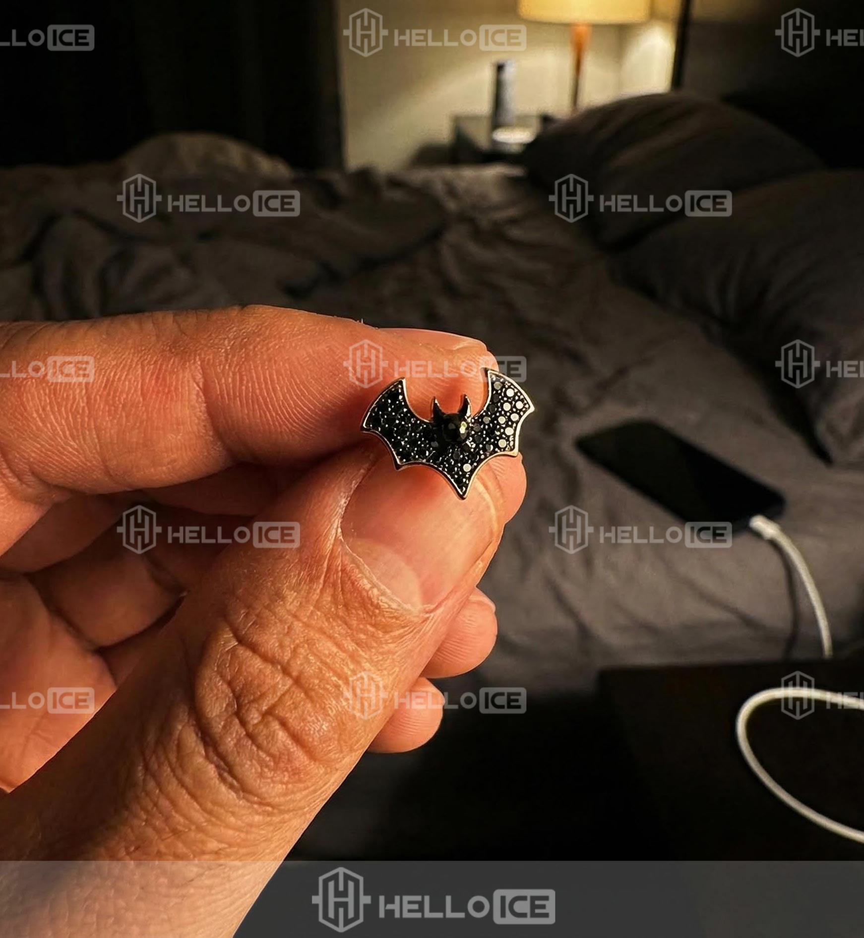 Helloice Review Image