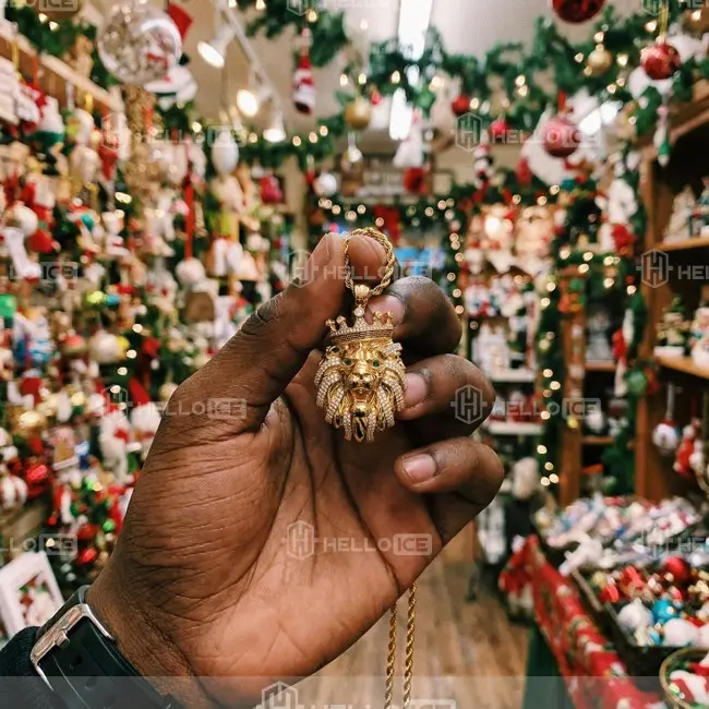 Helloice Review Image