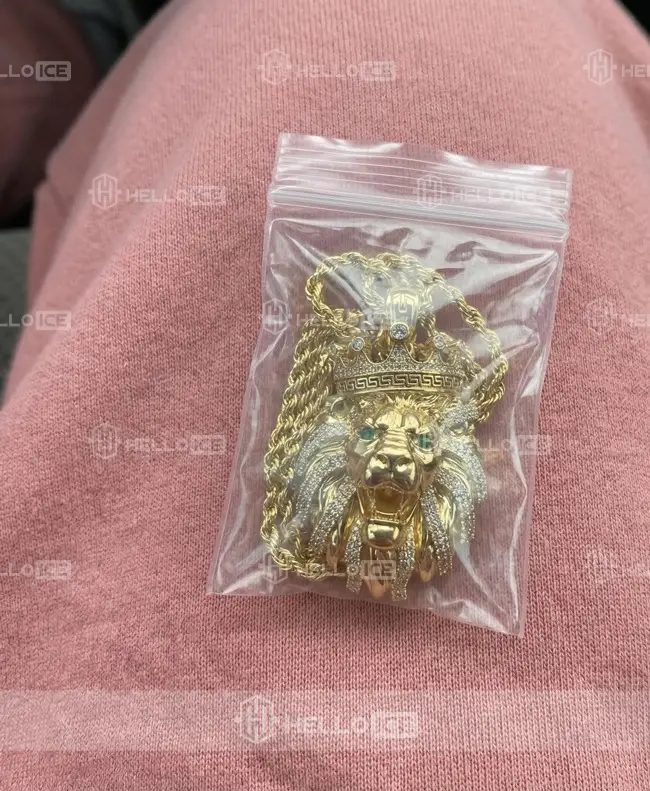 Helloice Review Image