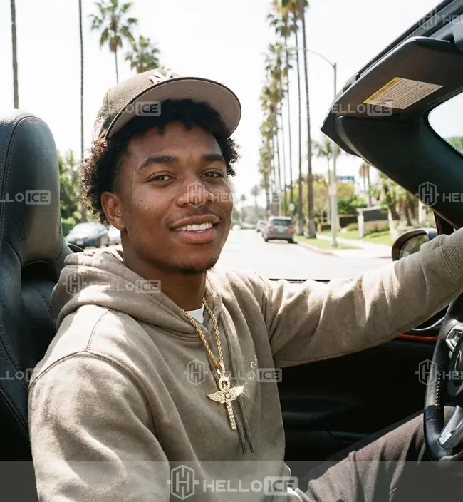 Helloice Review Image