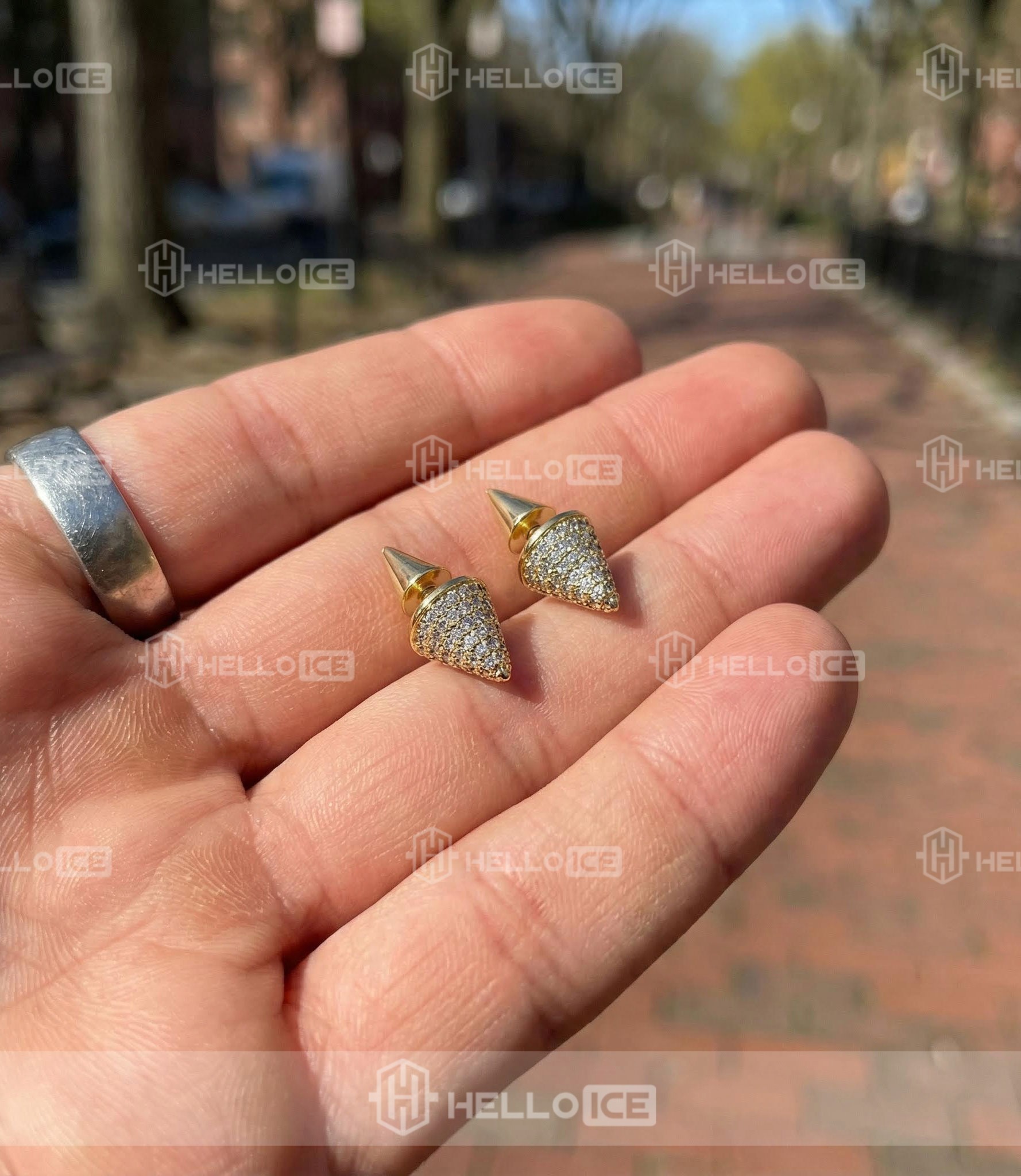 Helloice Review Image