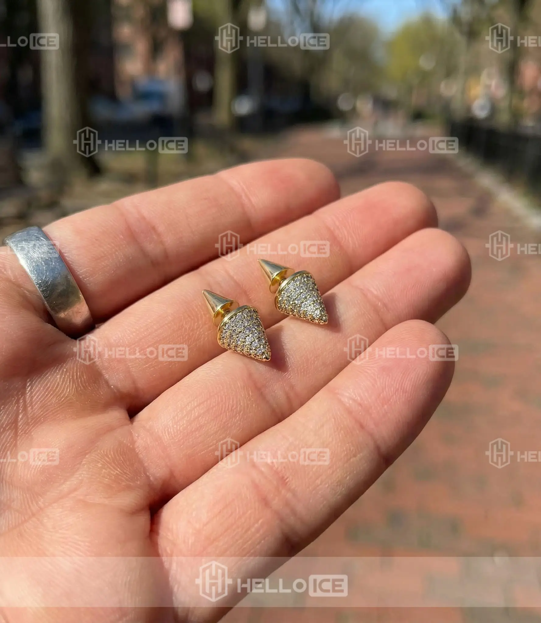 Helloice Review Image