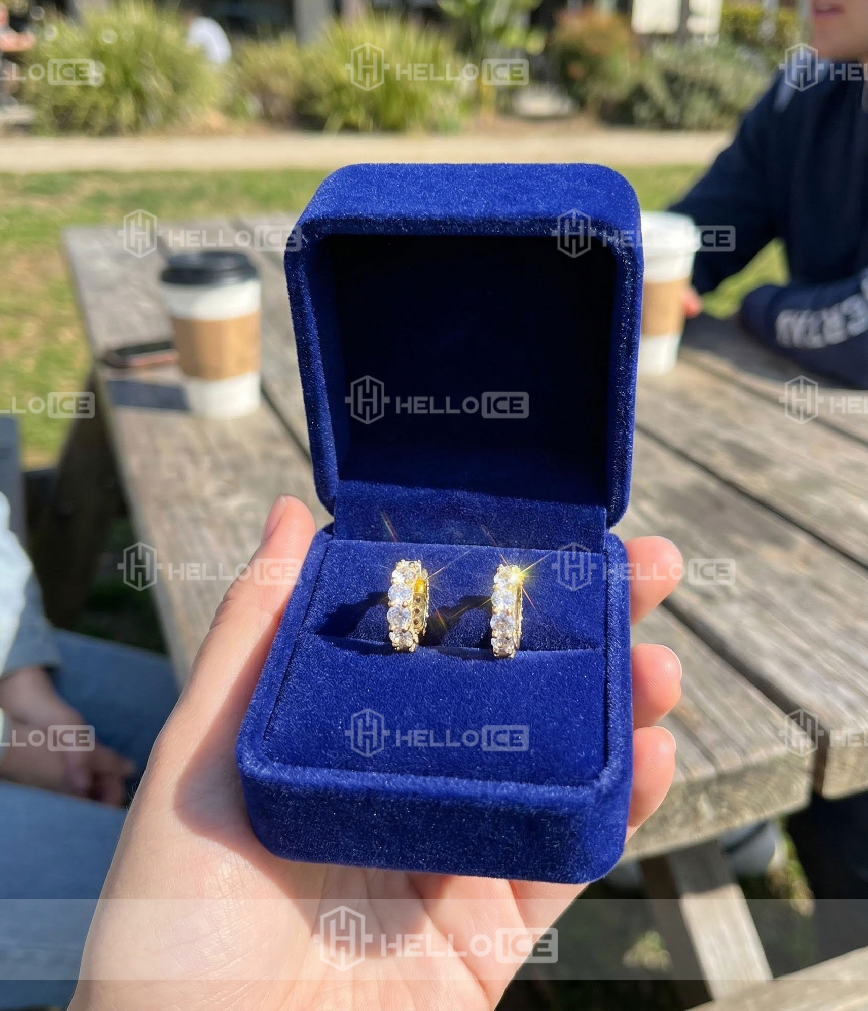 Helloice Review Image