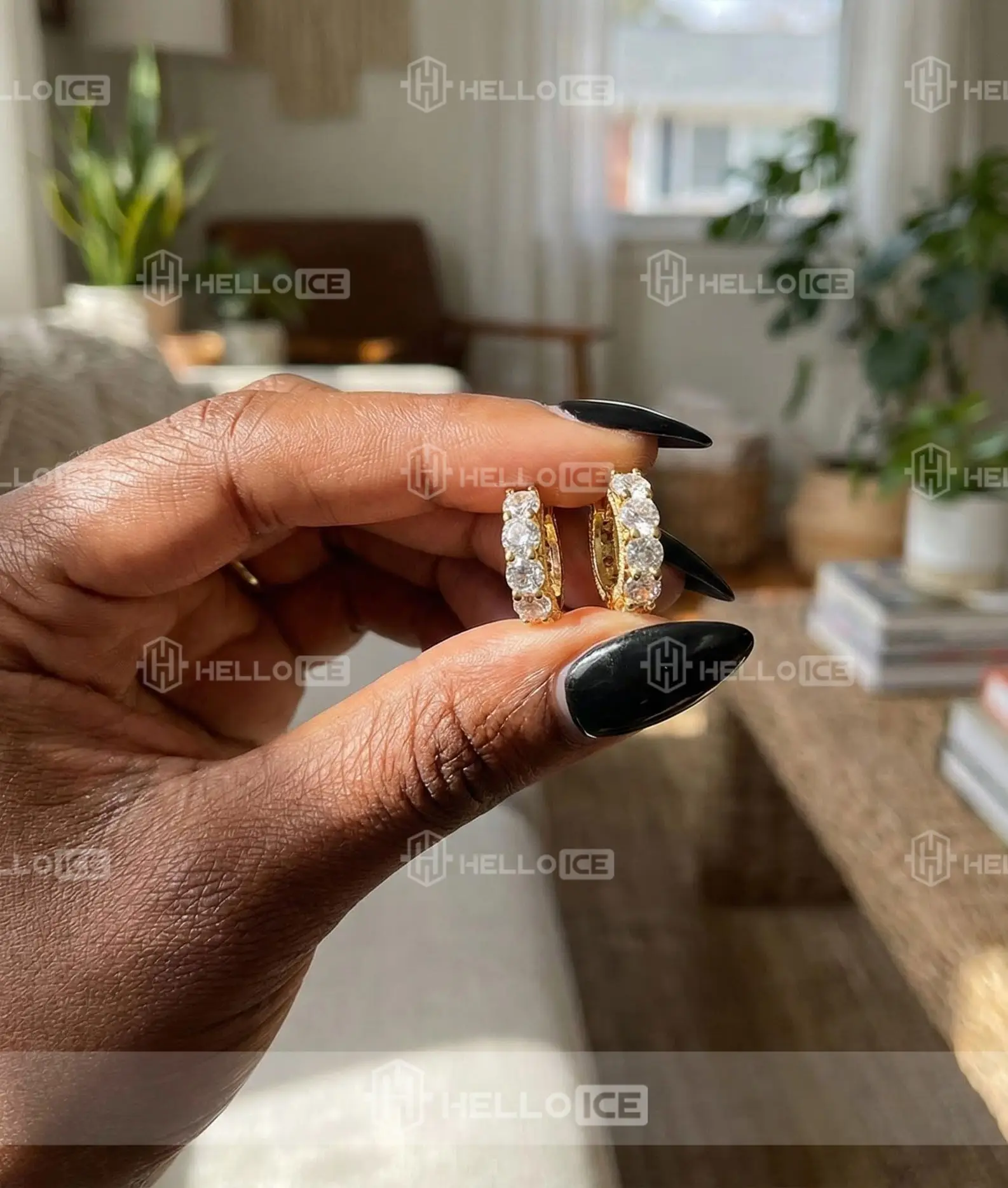 Helloice Review Image