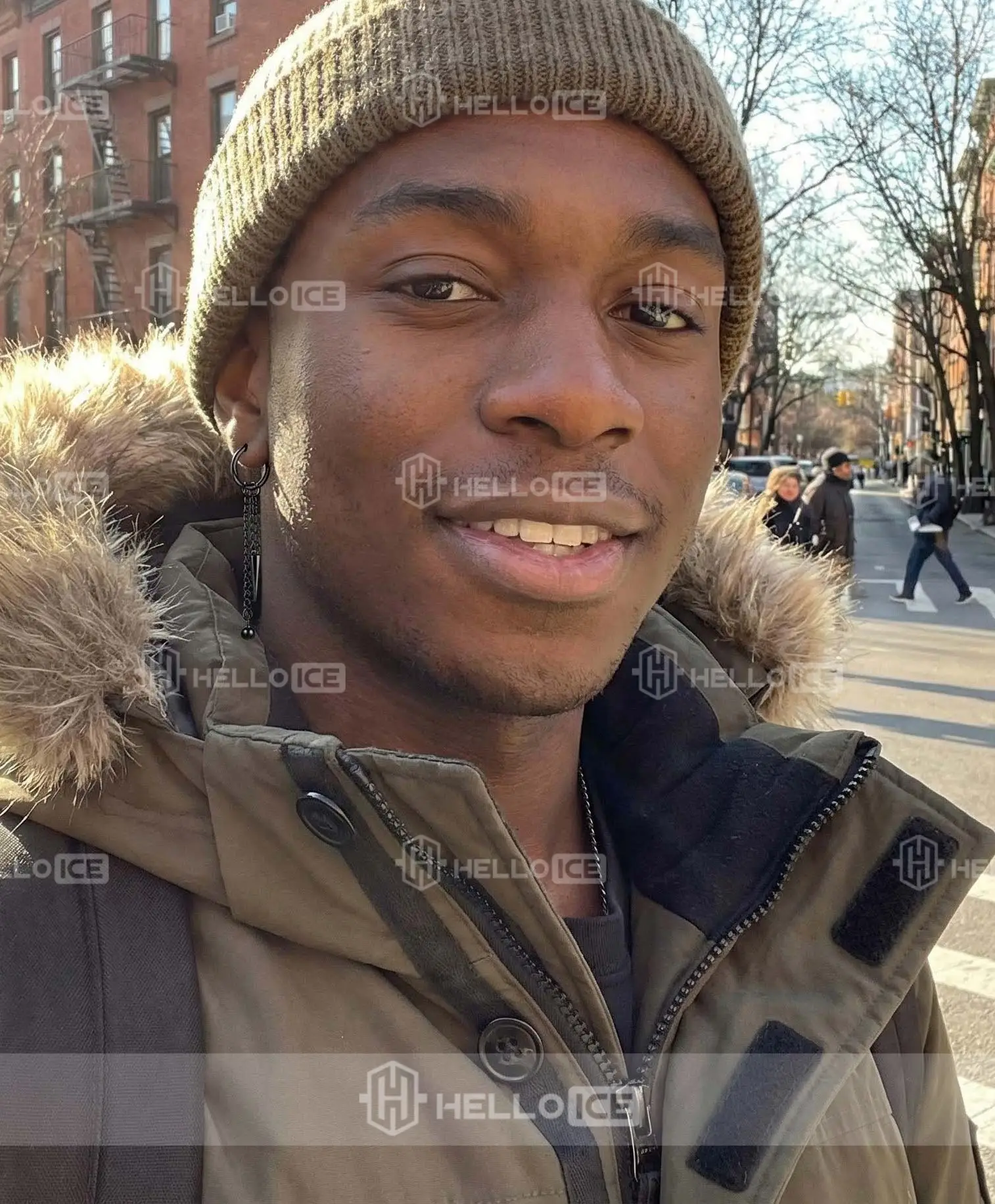 Helloice Review Image