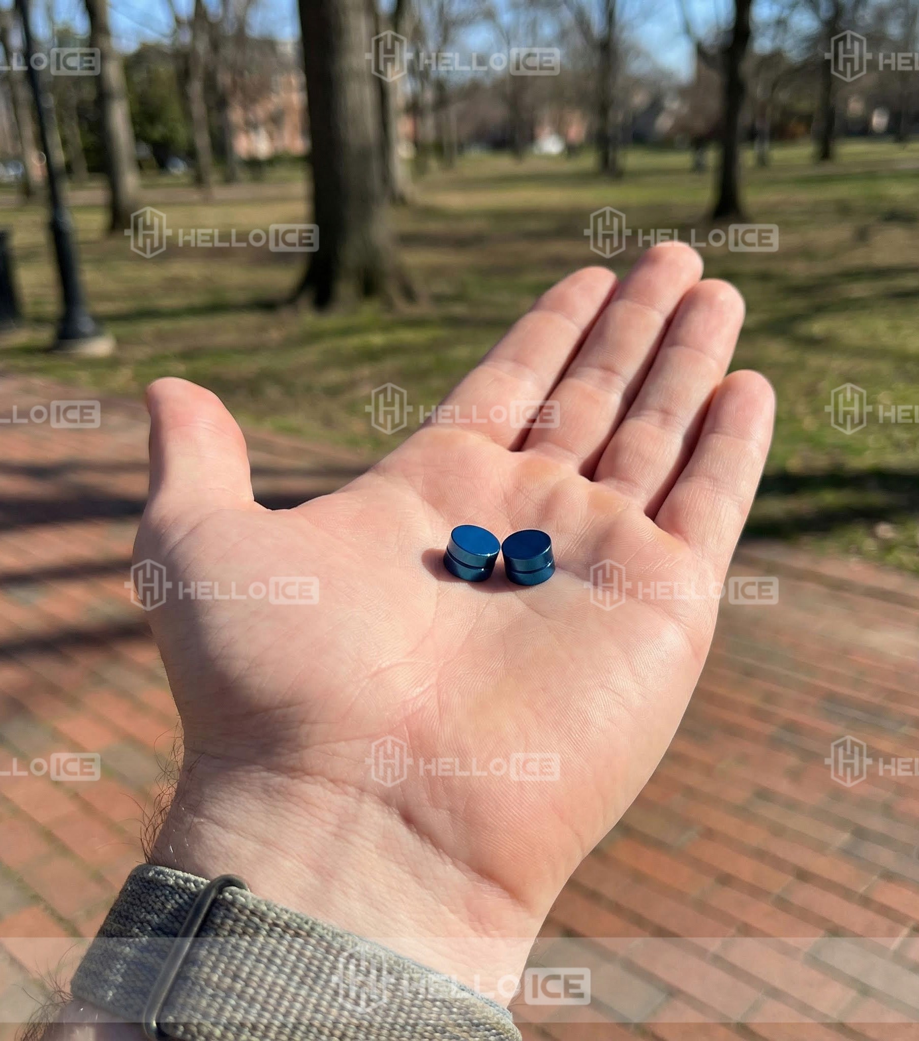 Helloice Review Image