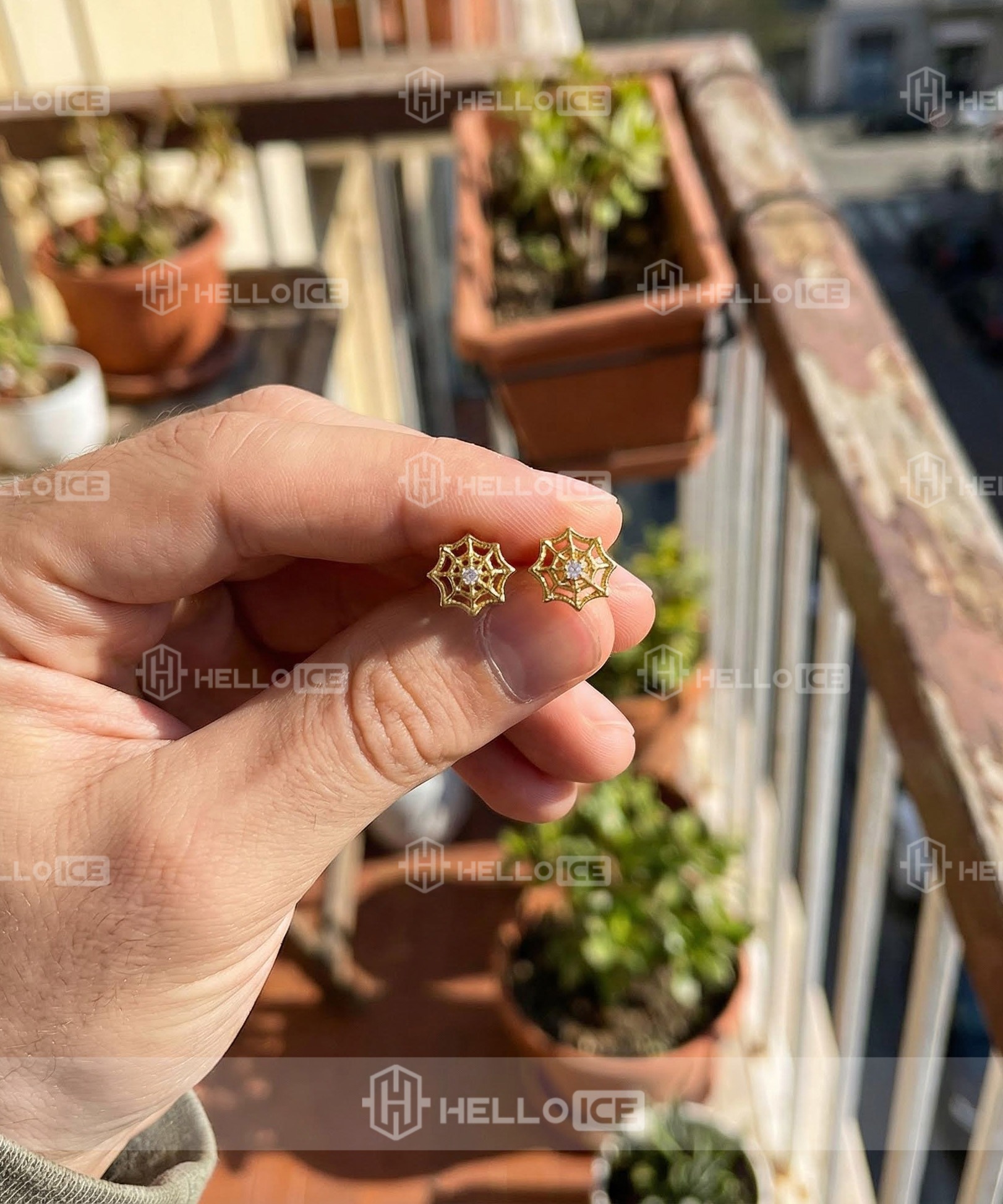 Helloice Review Image