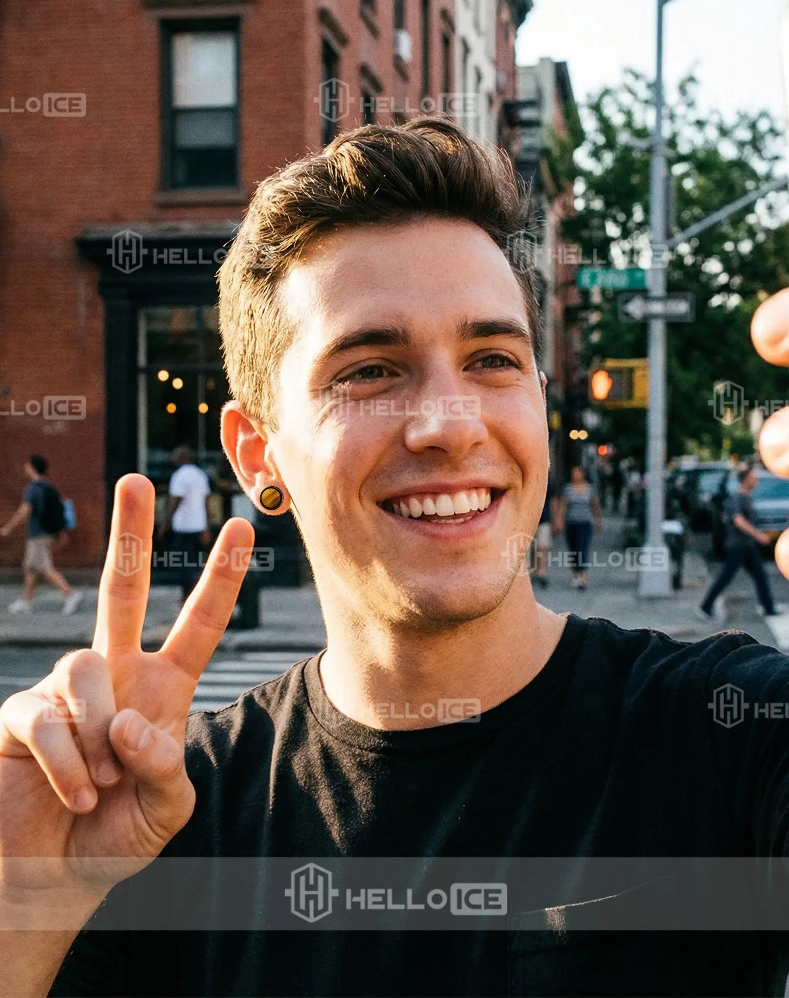 Helloice Review Image