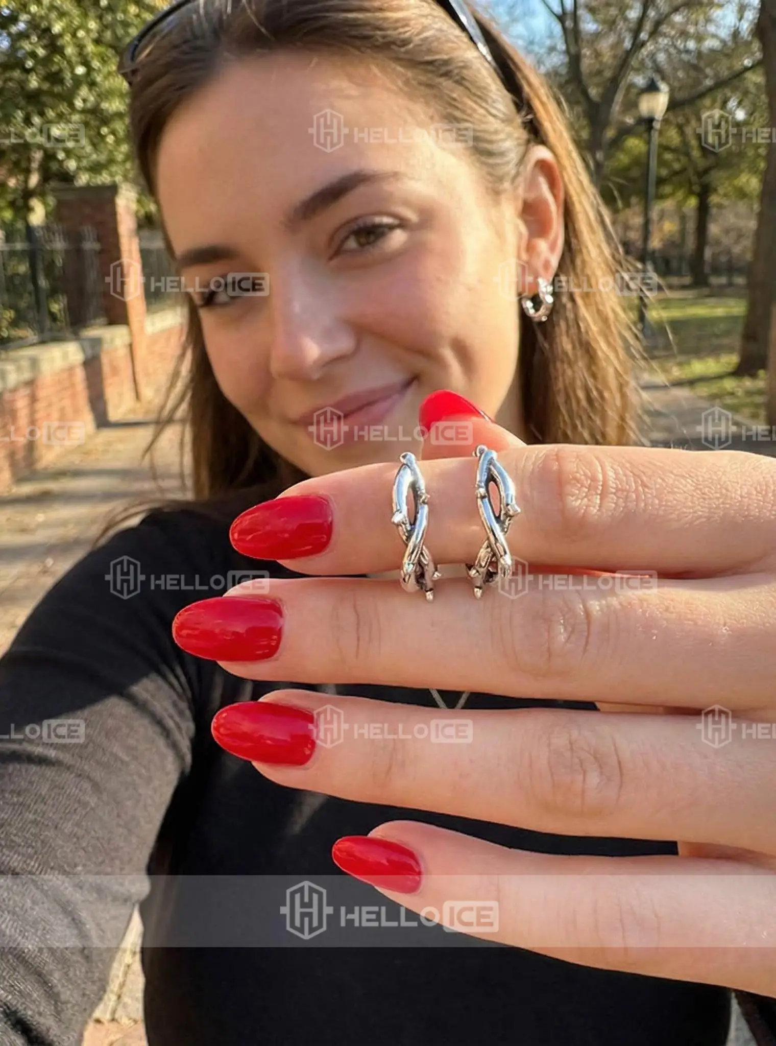 Helloice Review Image