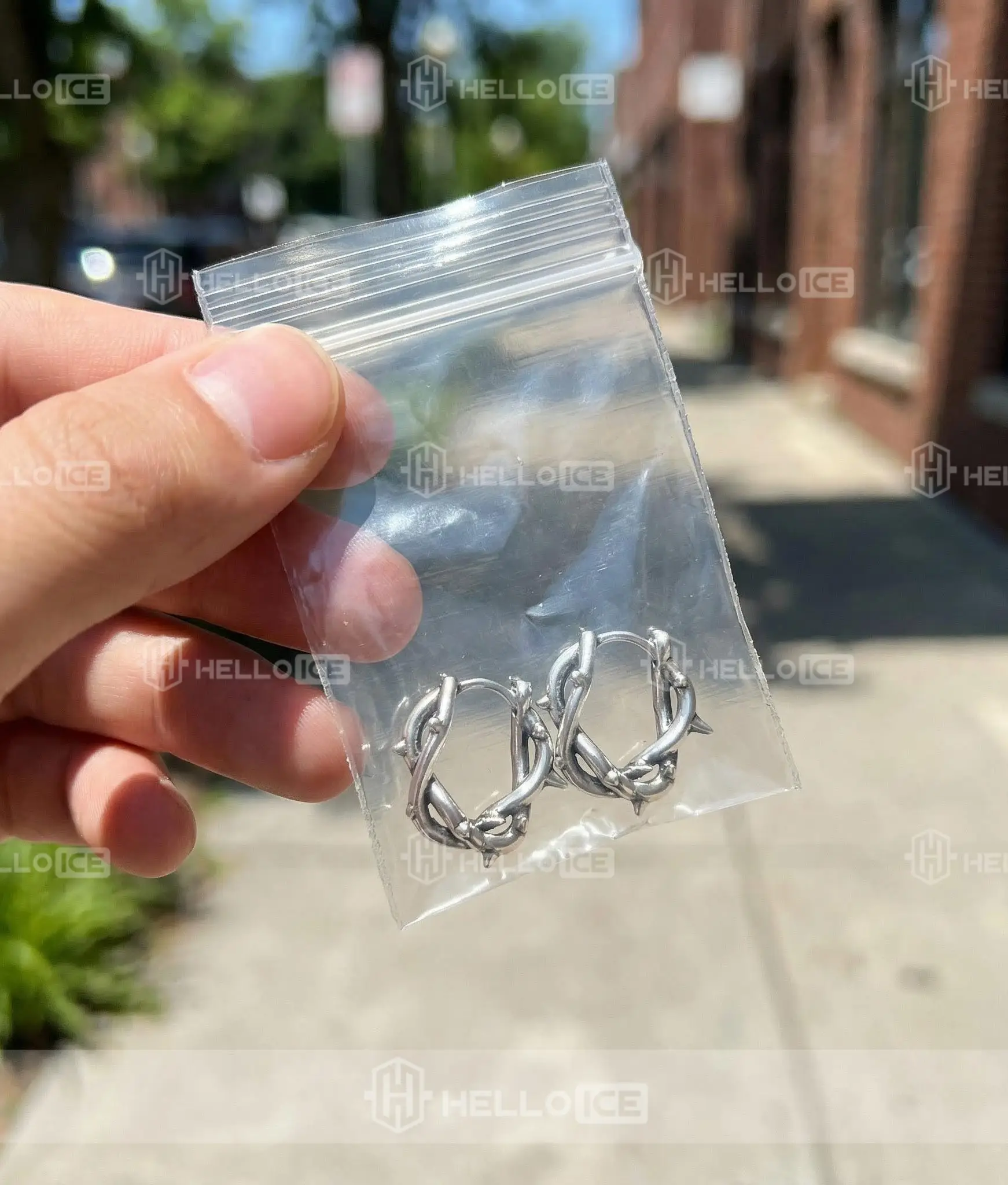 Helloice Review Image