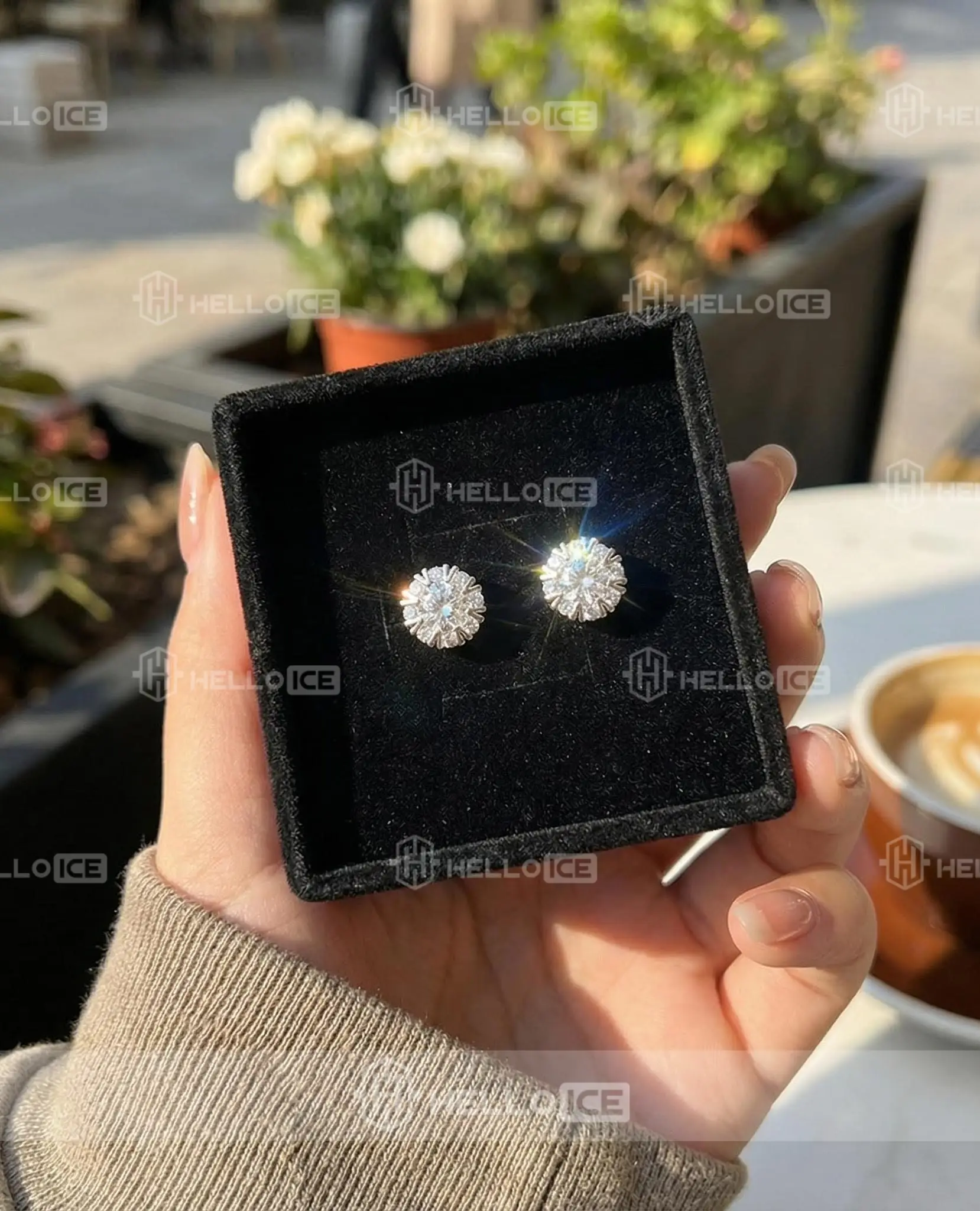 Helloice Review Image