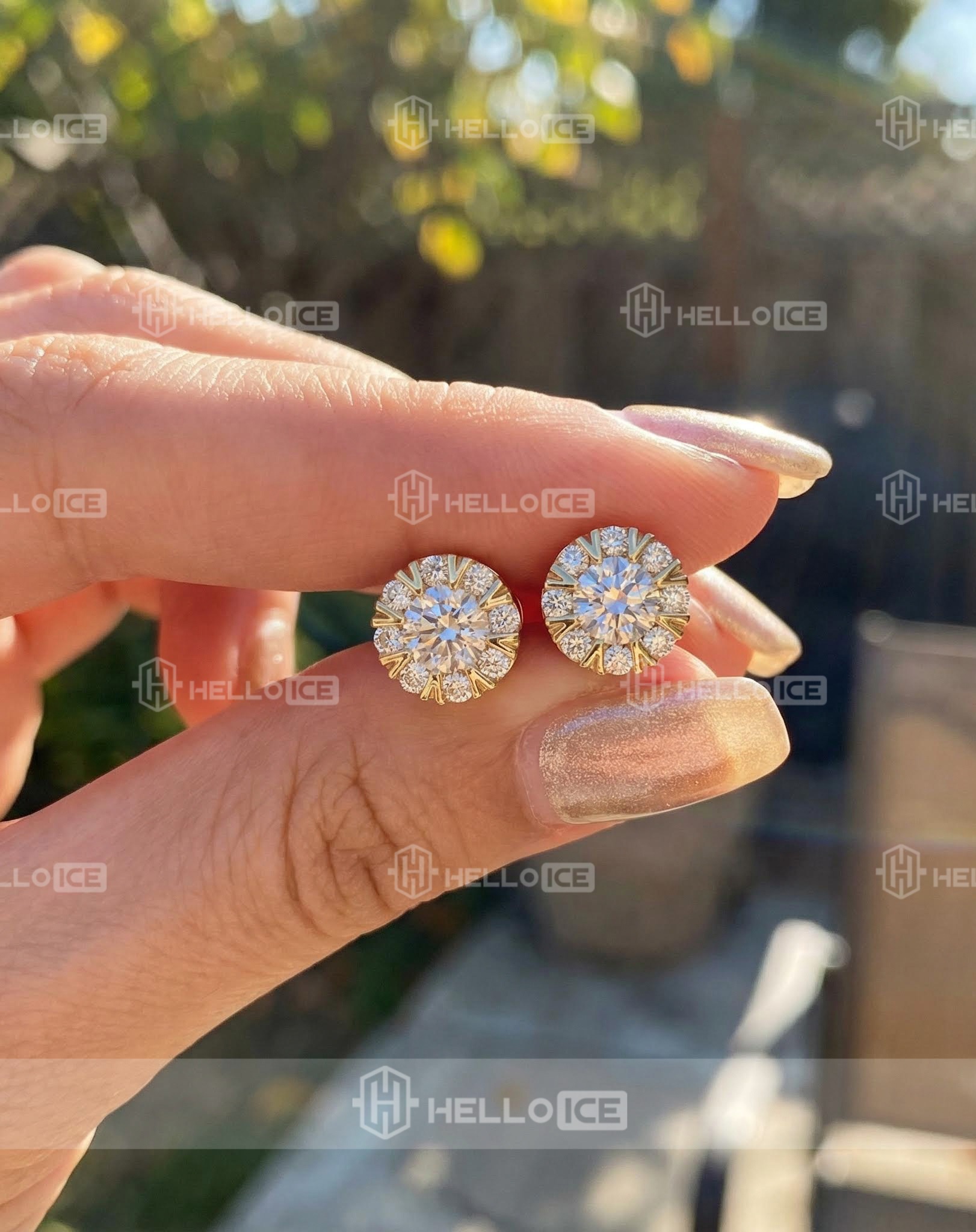 Helloice Review Image