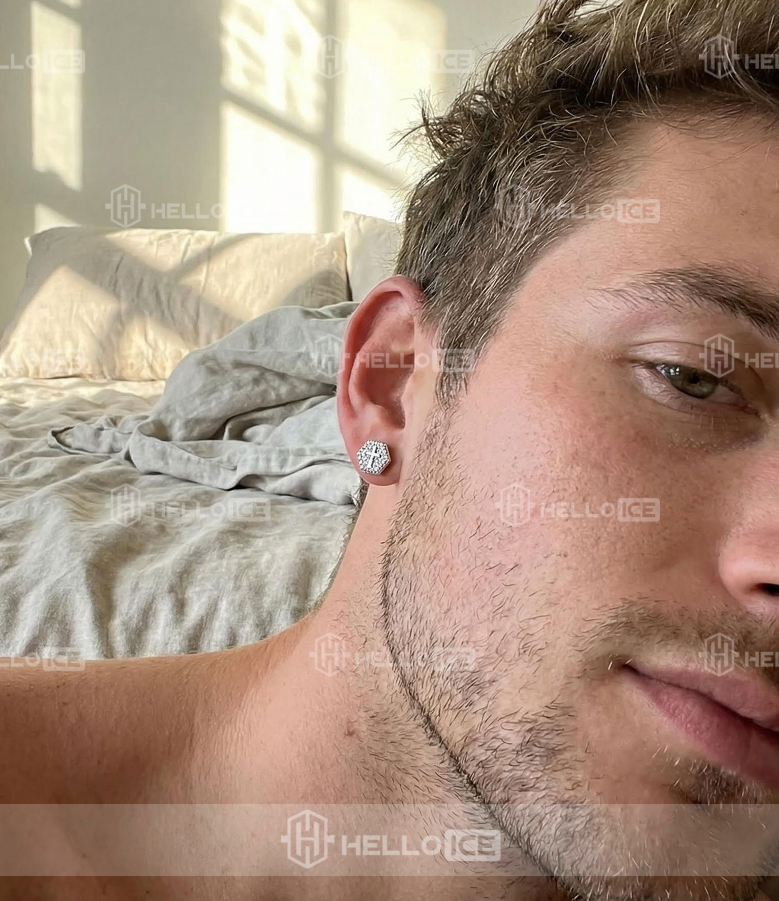 Helloice Review Image