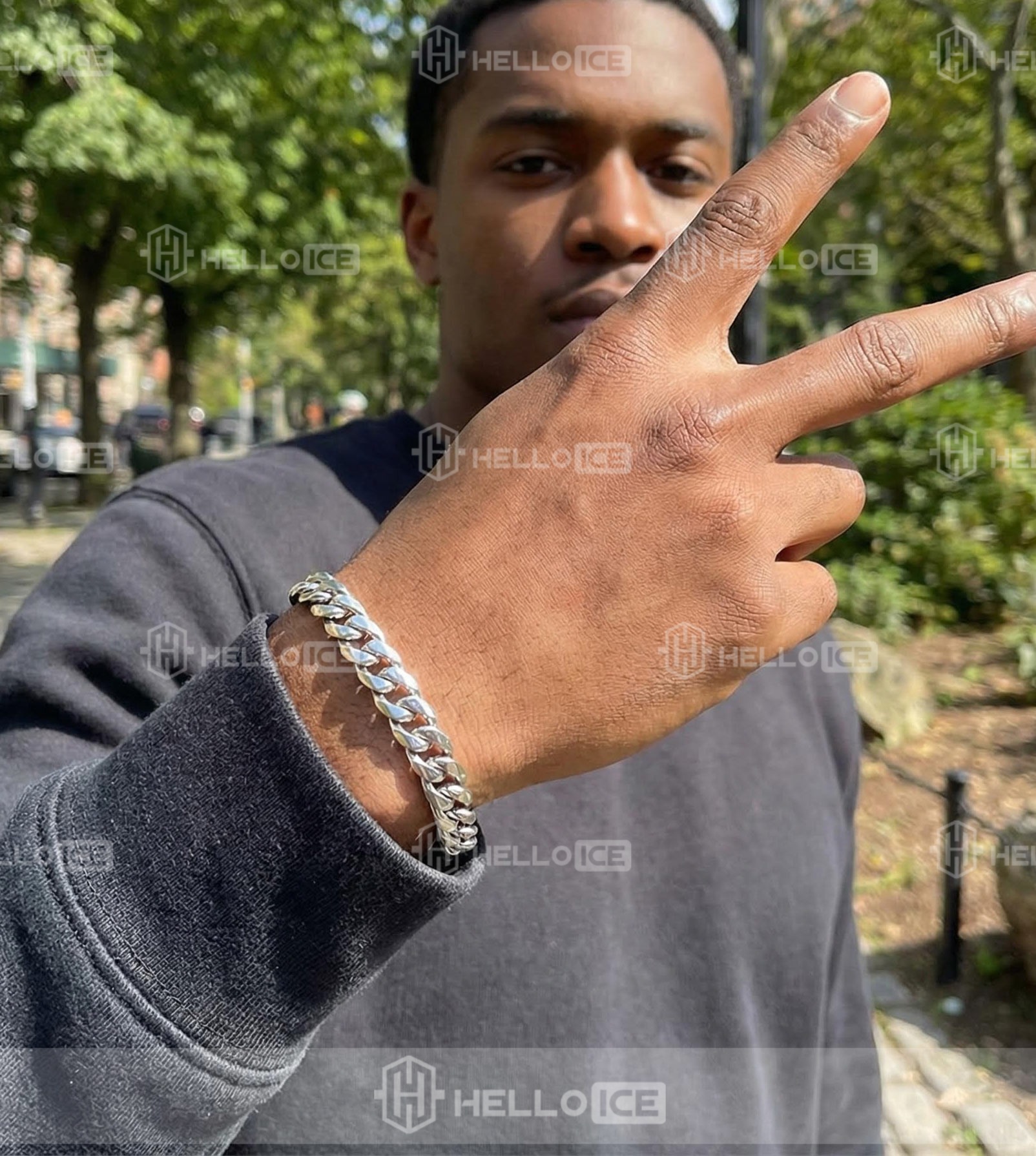 Helloice Review Image