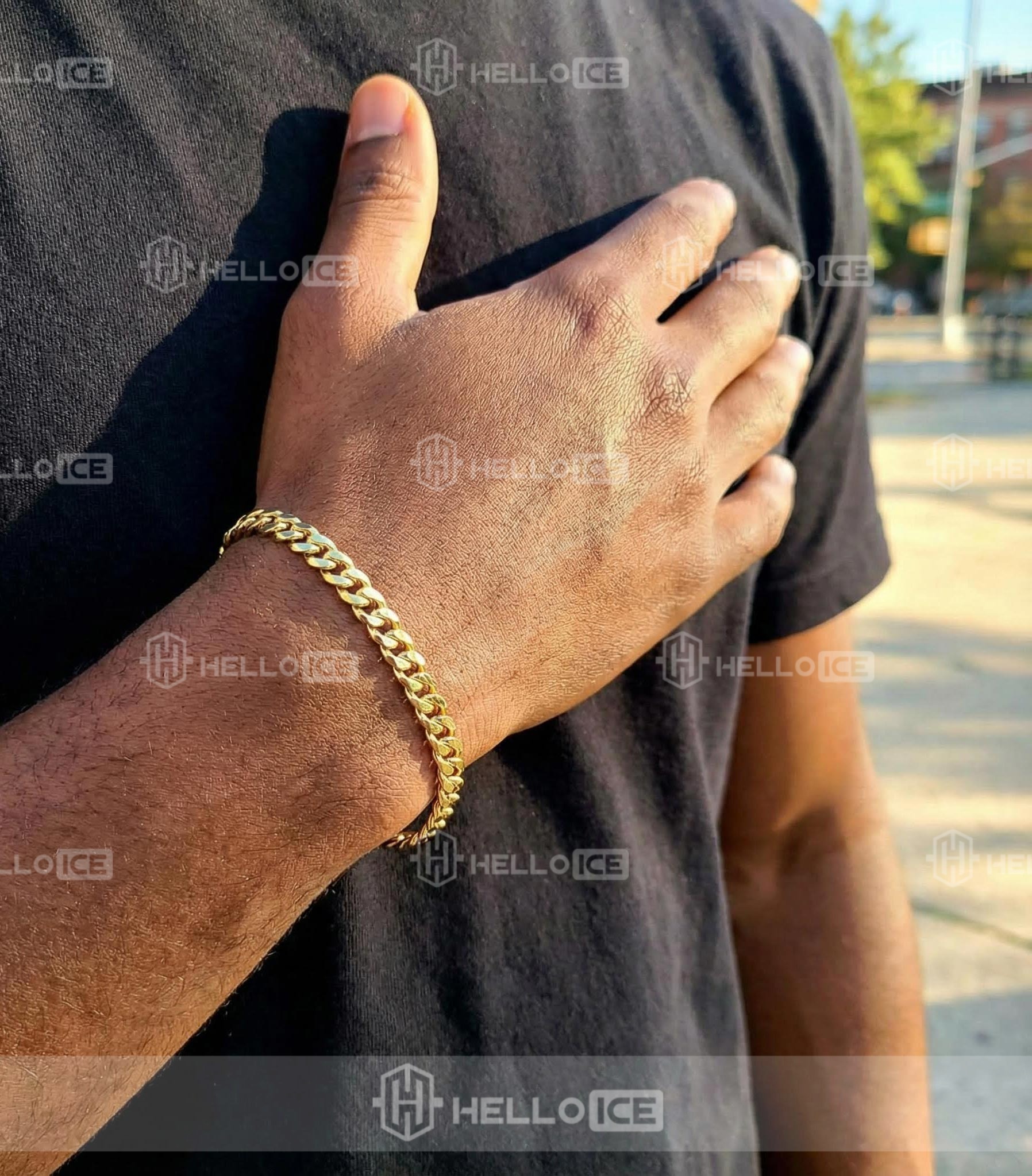 Helloice Review Image