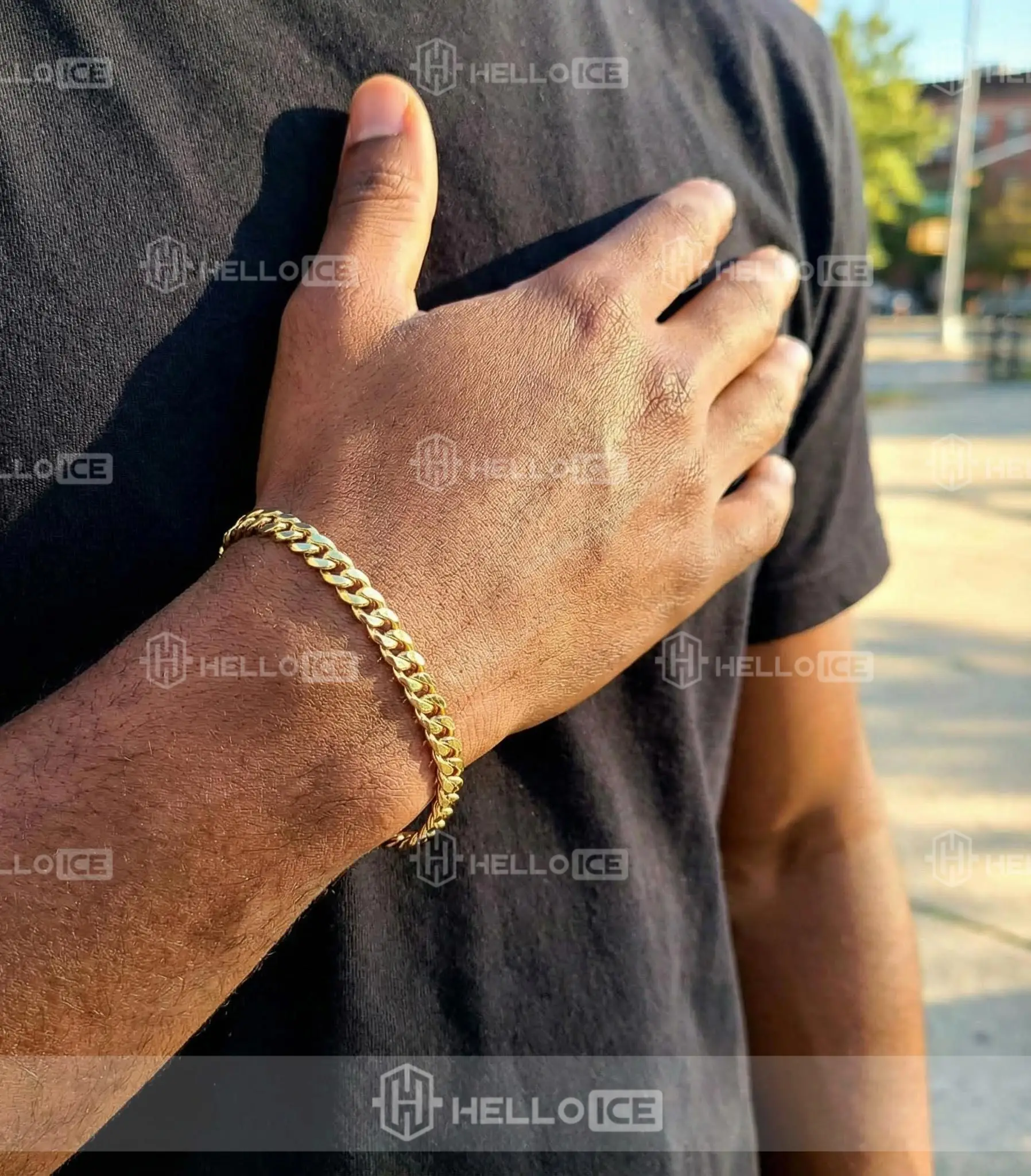 Helloice Review Image