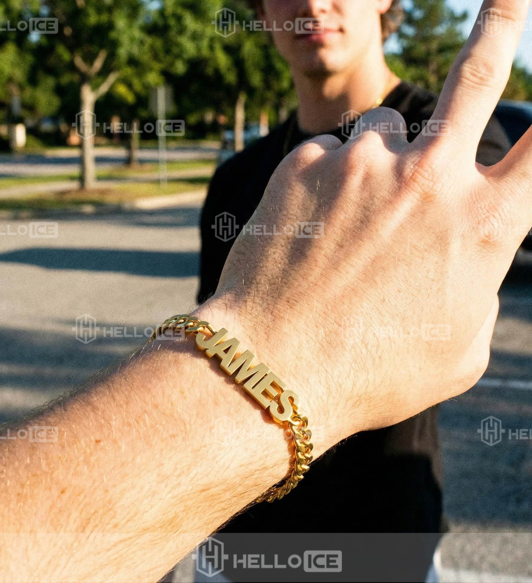 Helloice Review Image