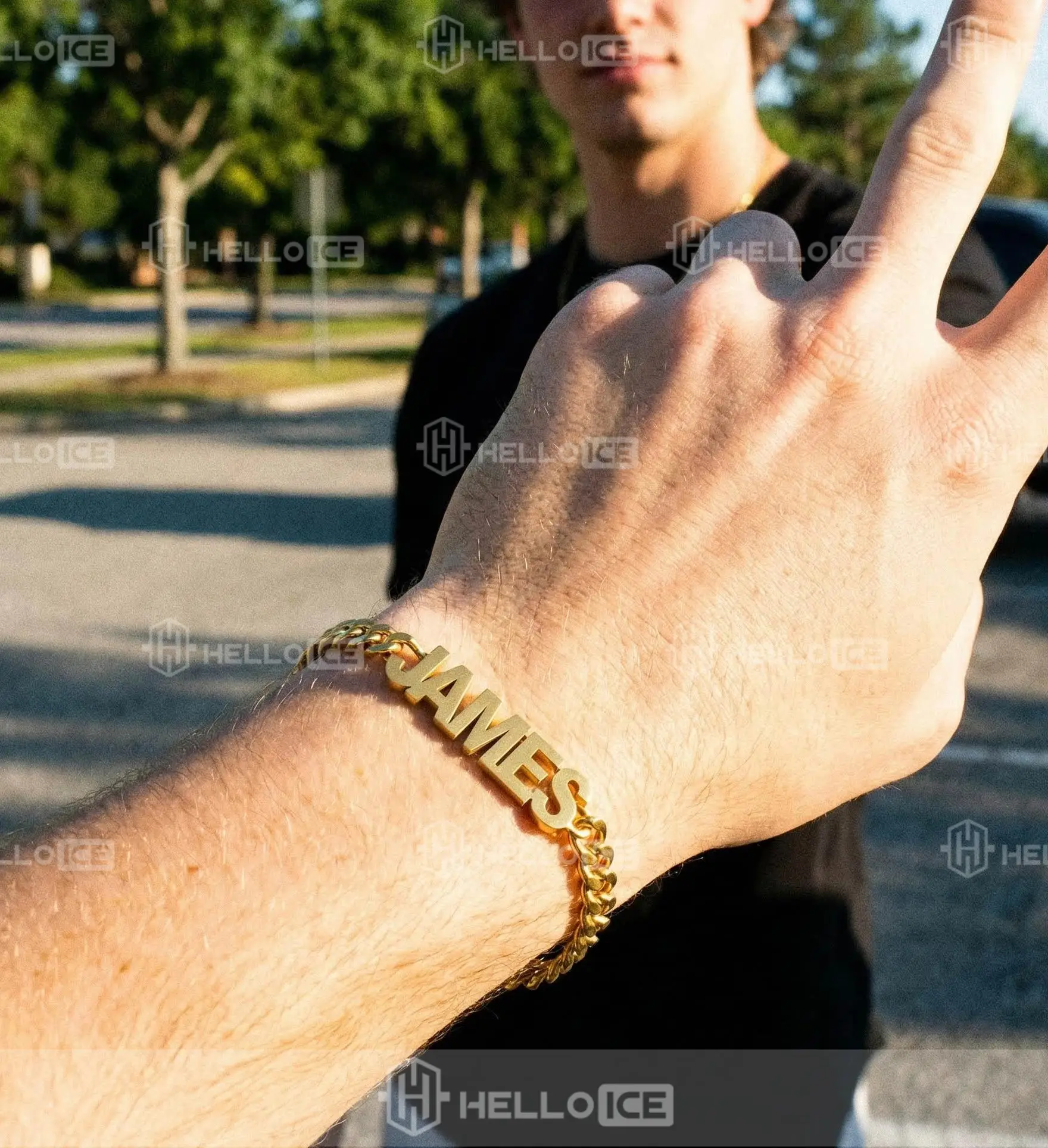 Helloice Review Image