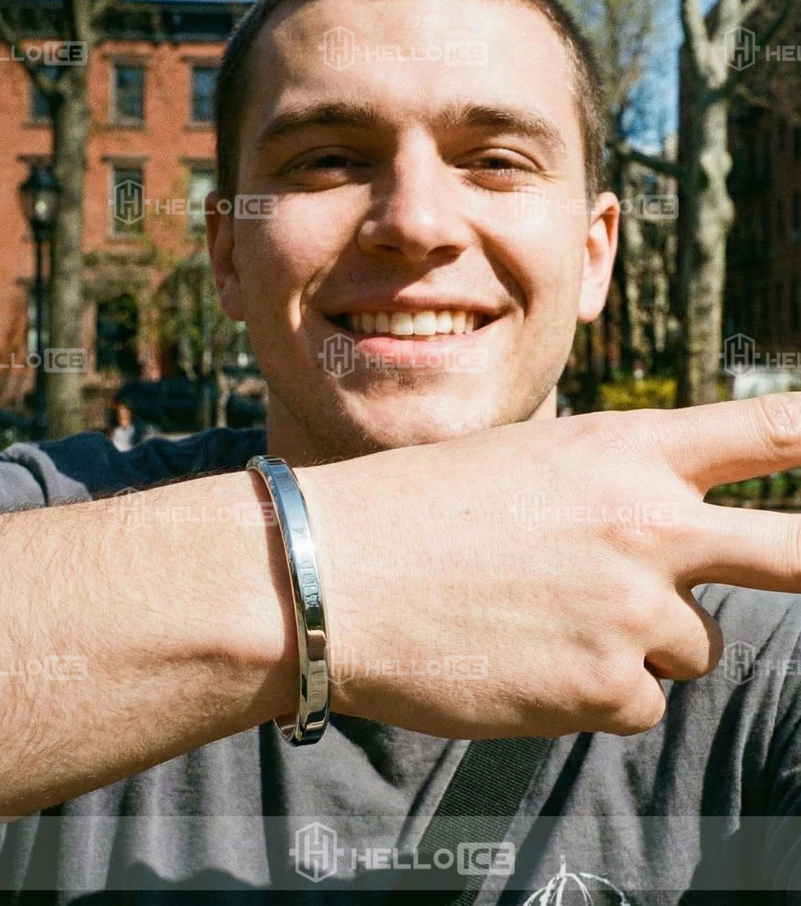 Helloice Review Image