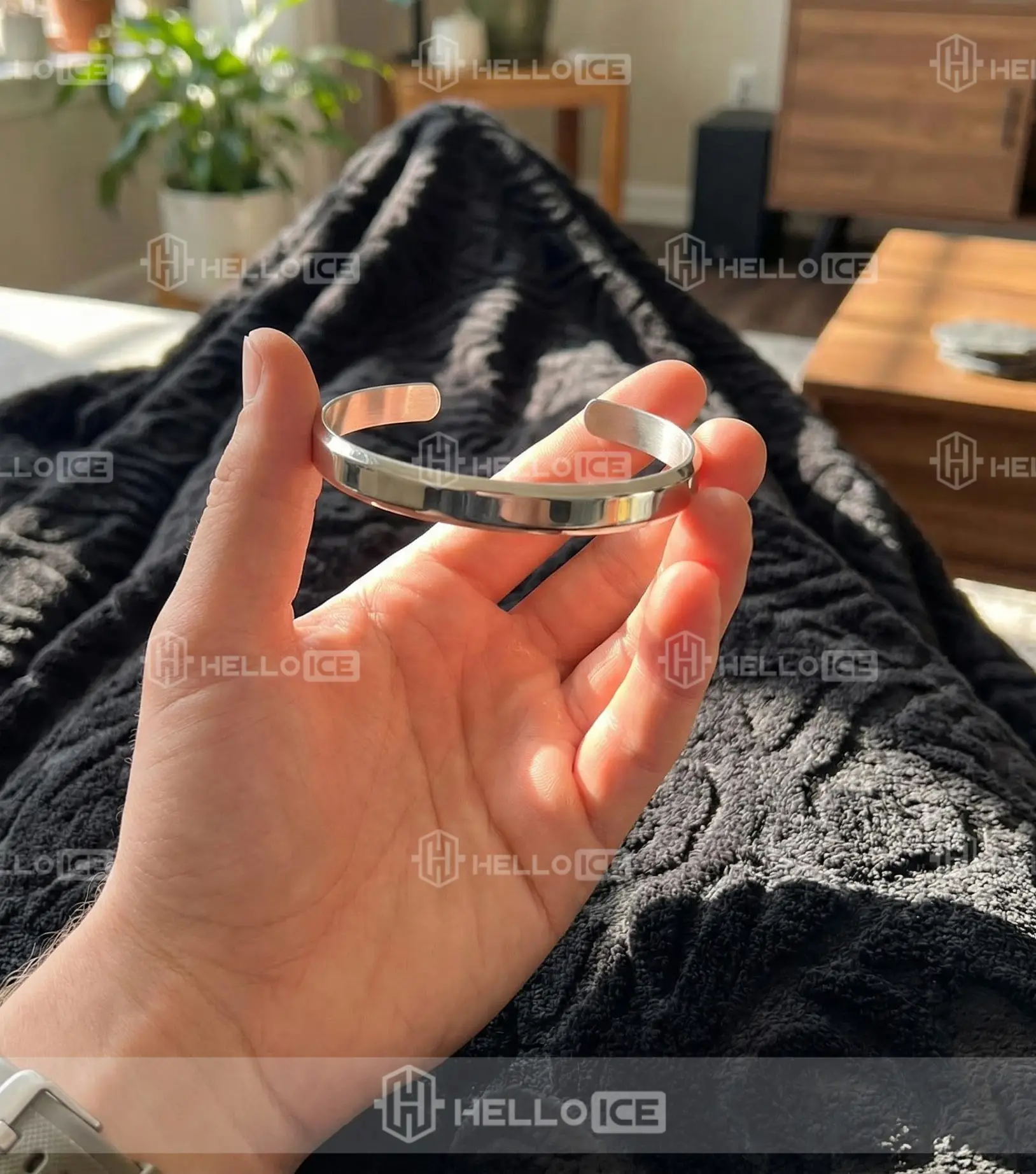 Helloice Review Image