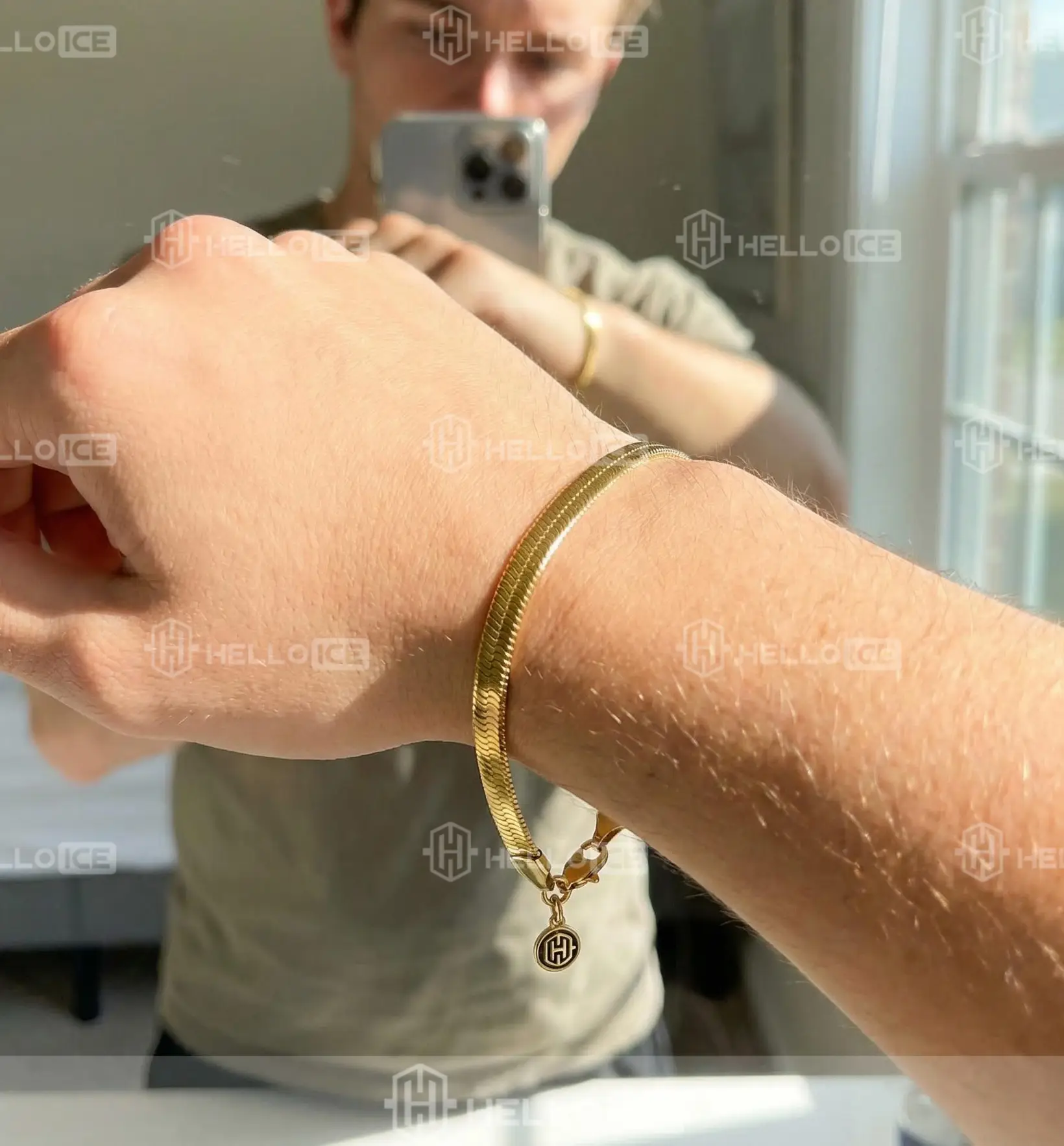 Helloice Review Image