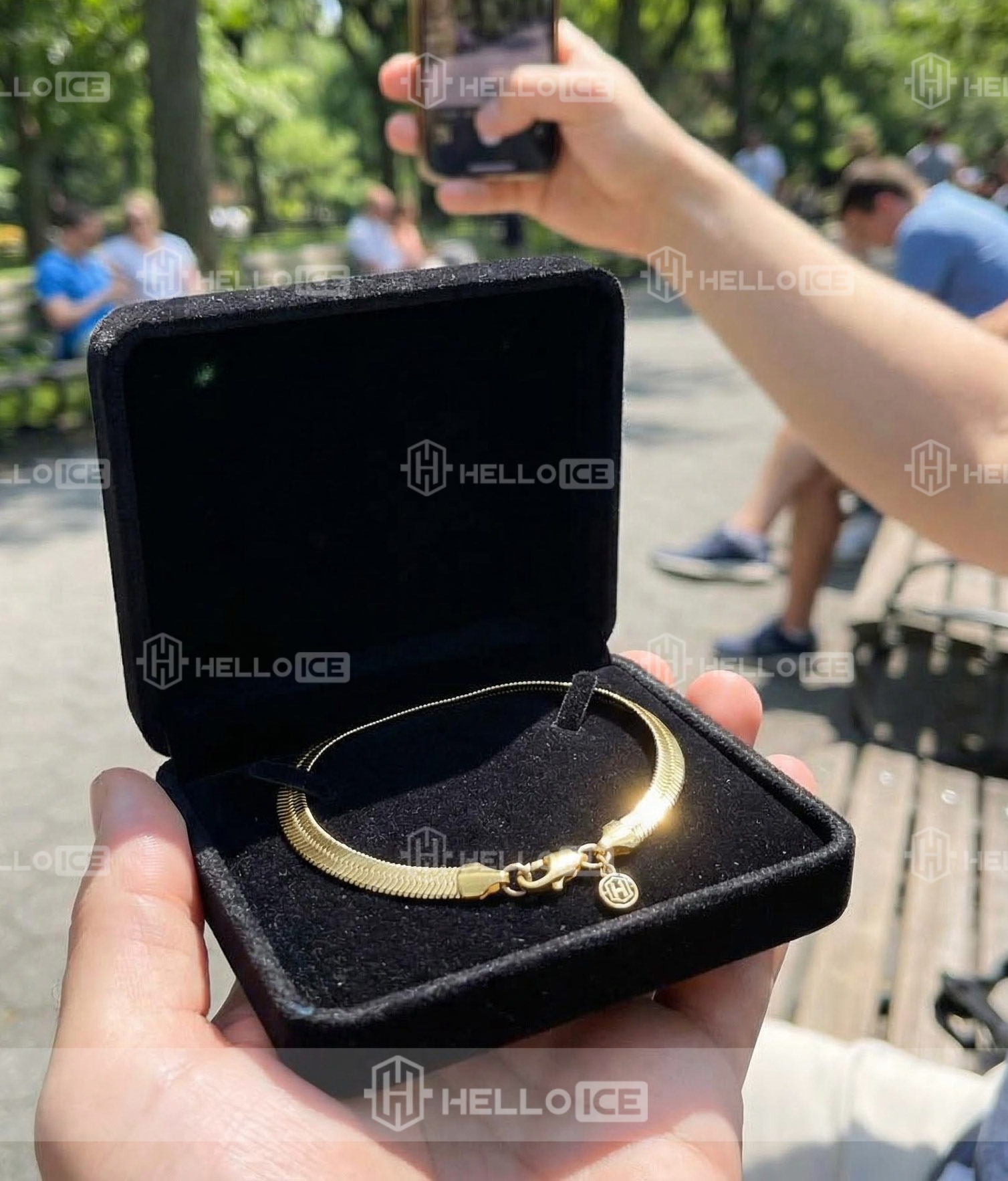 Helloice Review Image