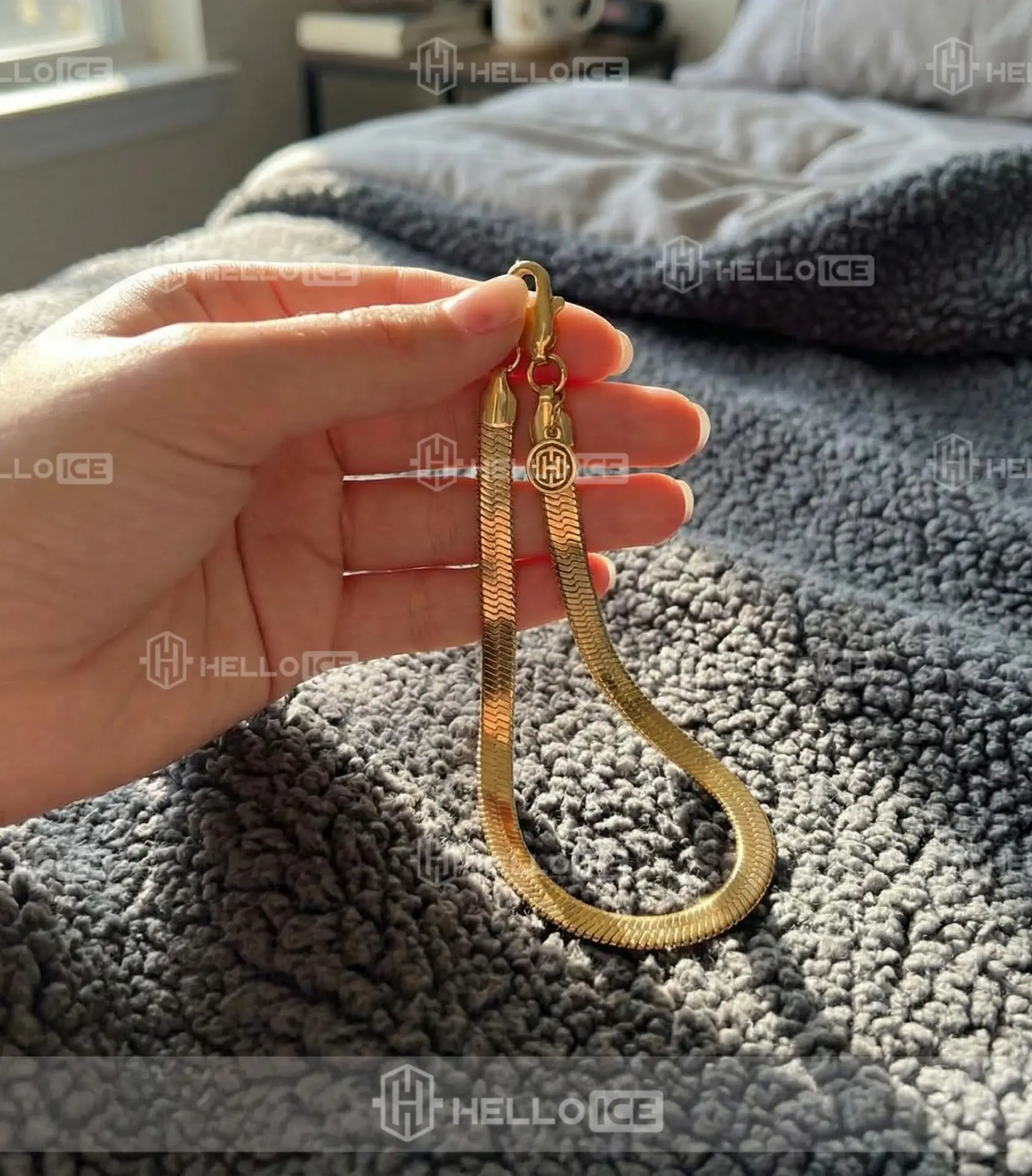 Helloice Review Image