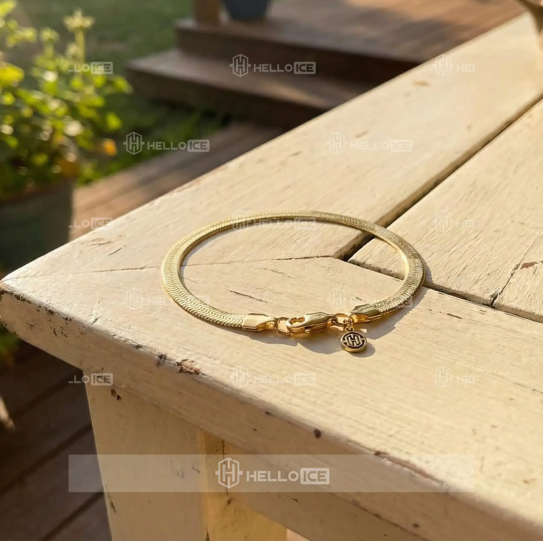 Helloice Review Image