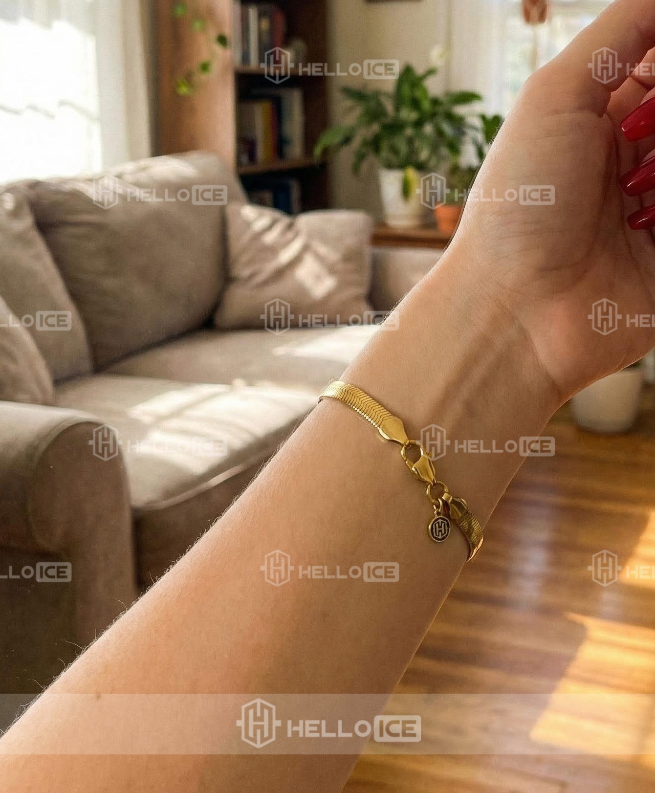 Helloice Review Image