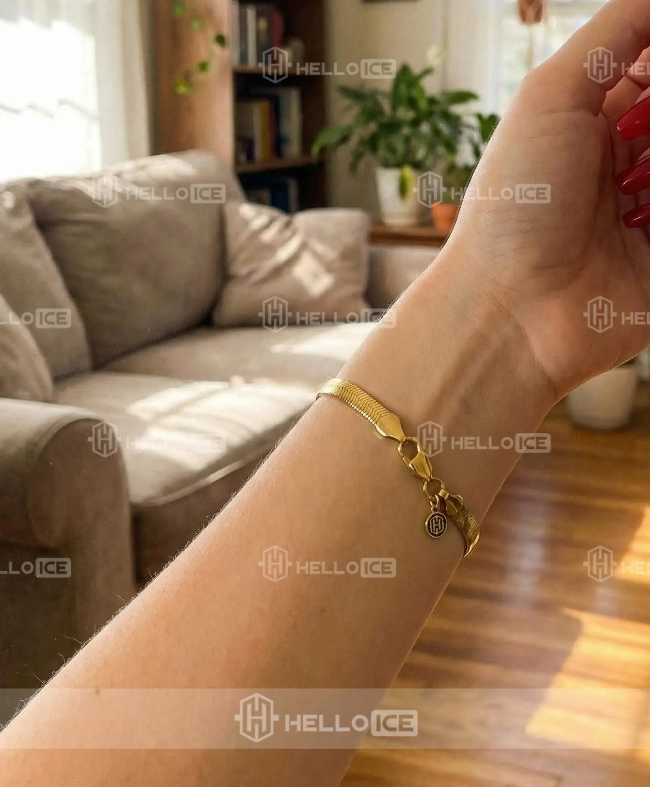 Helloice Review Image